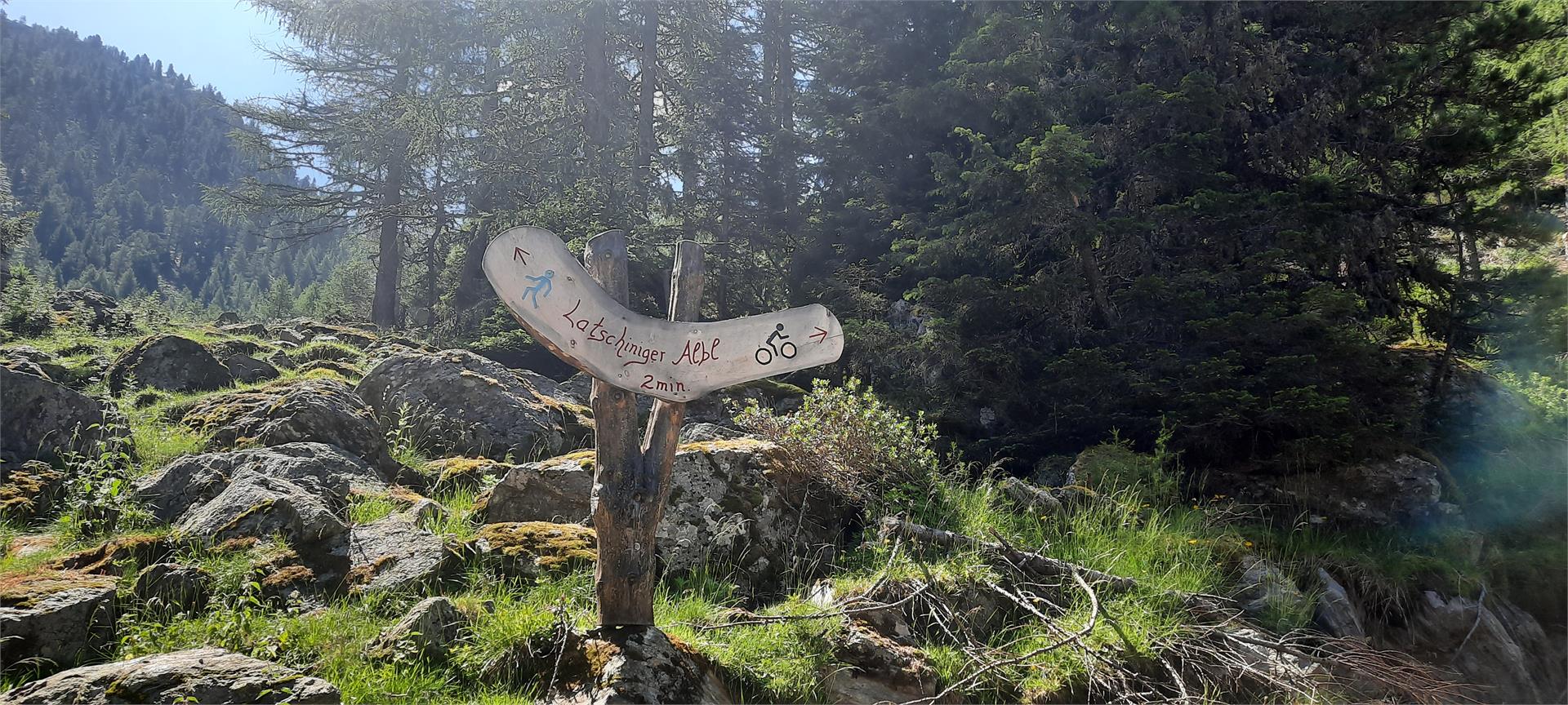 Malga Latschiniger Alm Kastelbell-Tschars/Castelbello-Ciardes 2 suedtirol.info