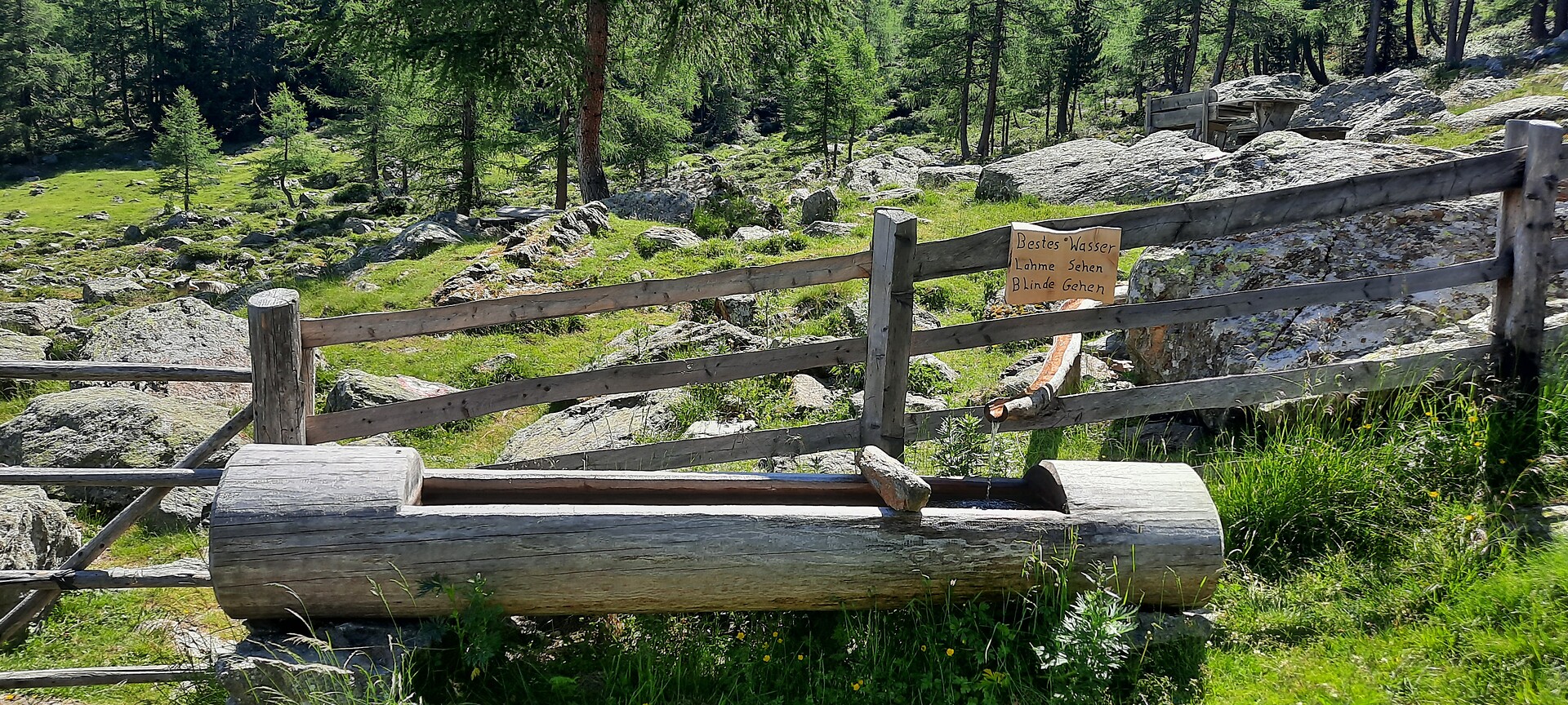 Latschiniger Alm