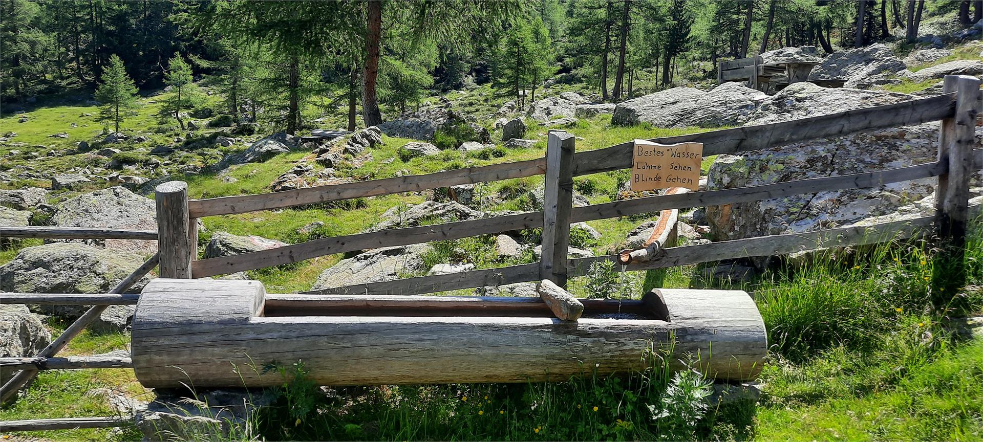 Malga Latschiniger Alm Kastelbell-Tschars/Castelbello-Ciardes 6 suedtirol.info