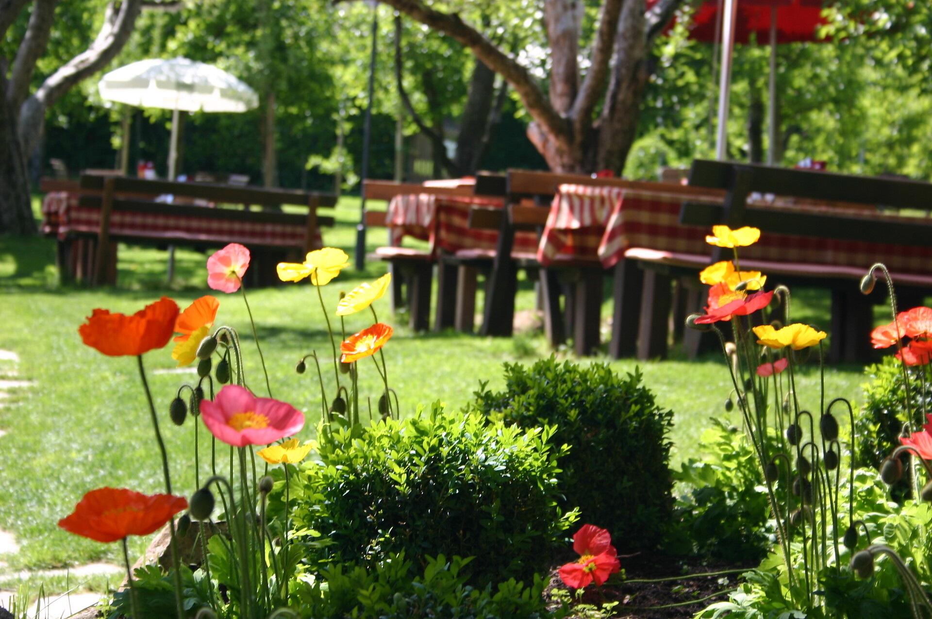 Gartenrestaurant