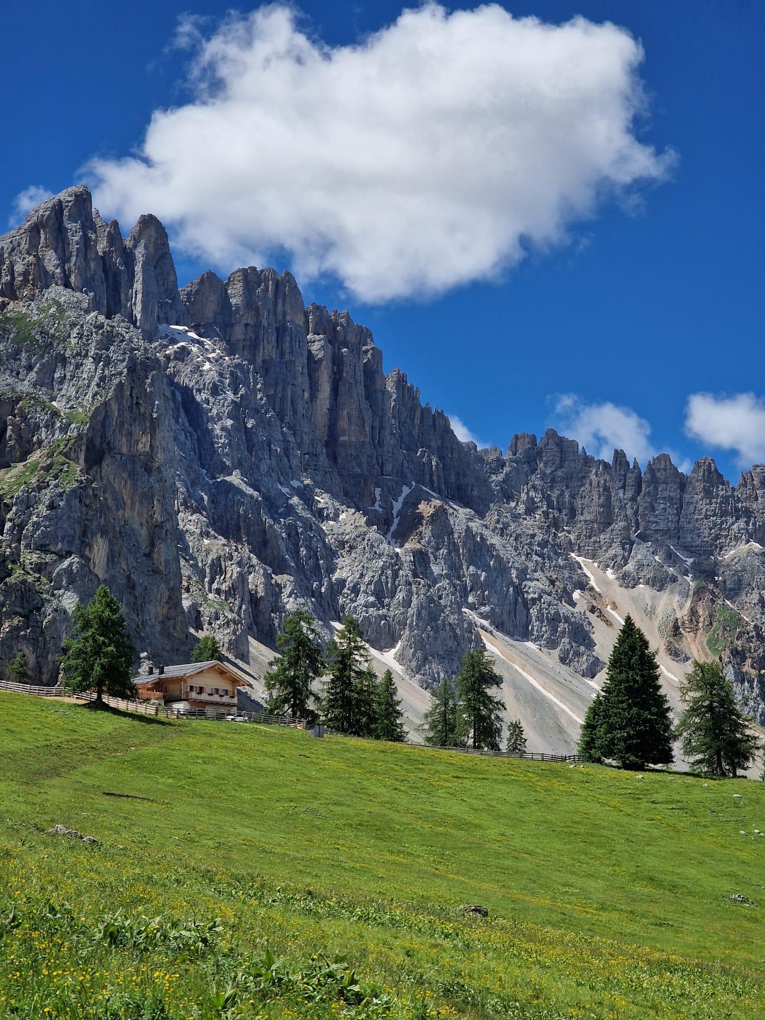 Malga Latmor Alm Welschnofen/Nova Levante 8 suedtirol.info