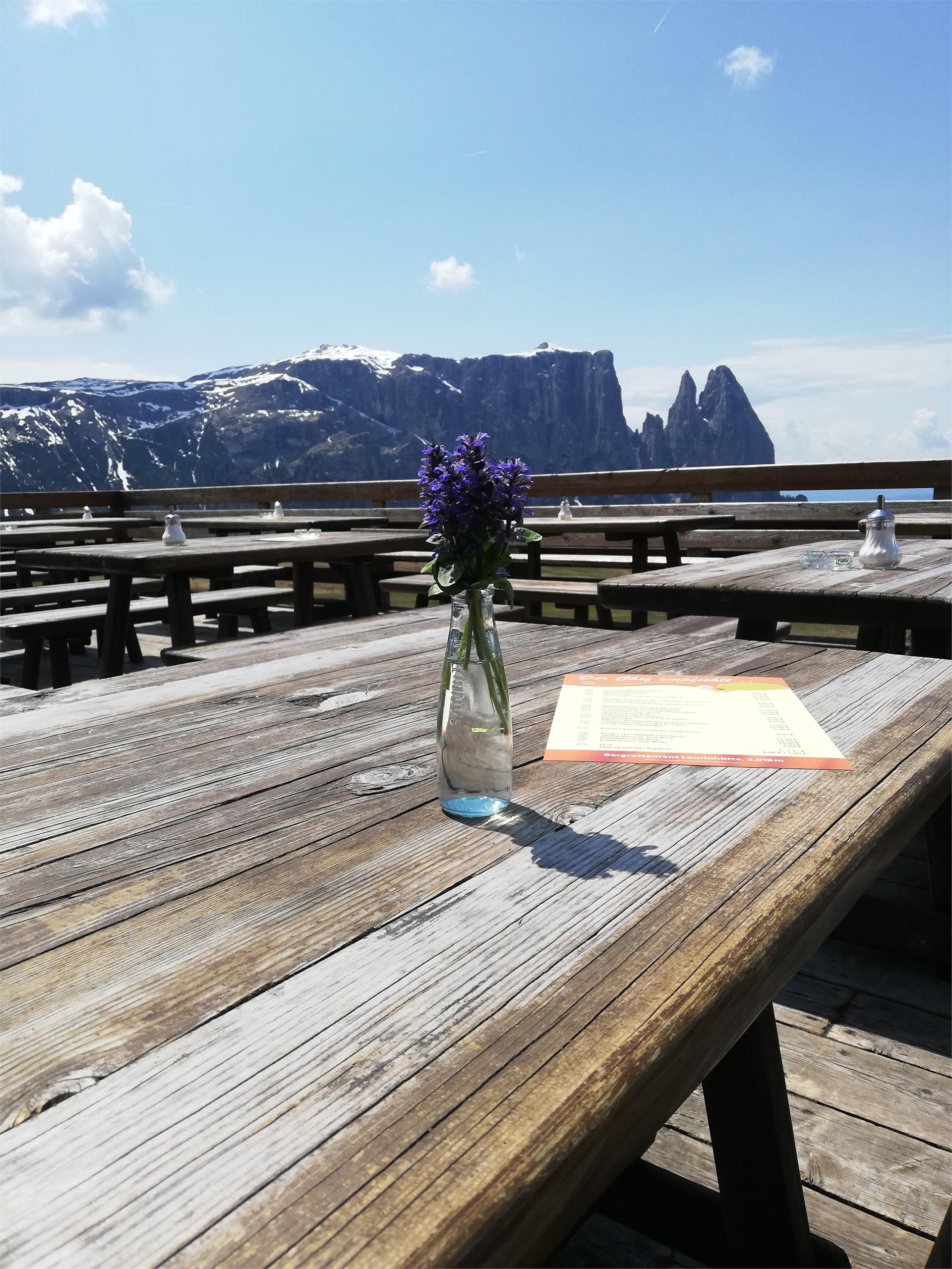 Baita Laurinhütte Kastelruth/Castelrotto 7 suedtirol.info