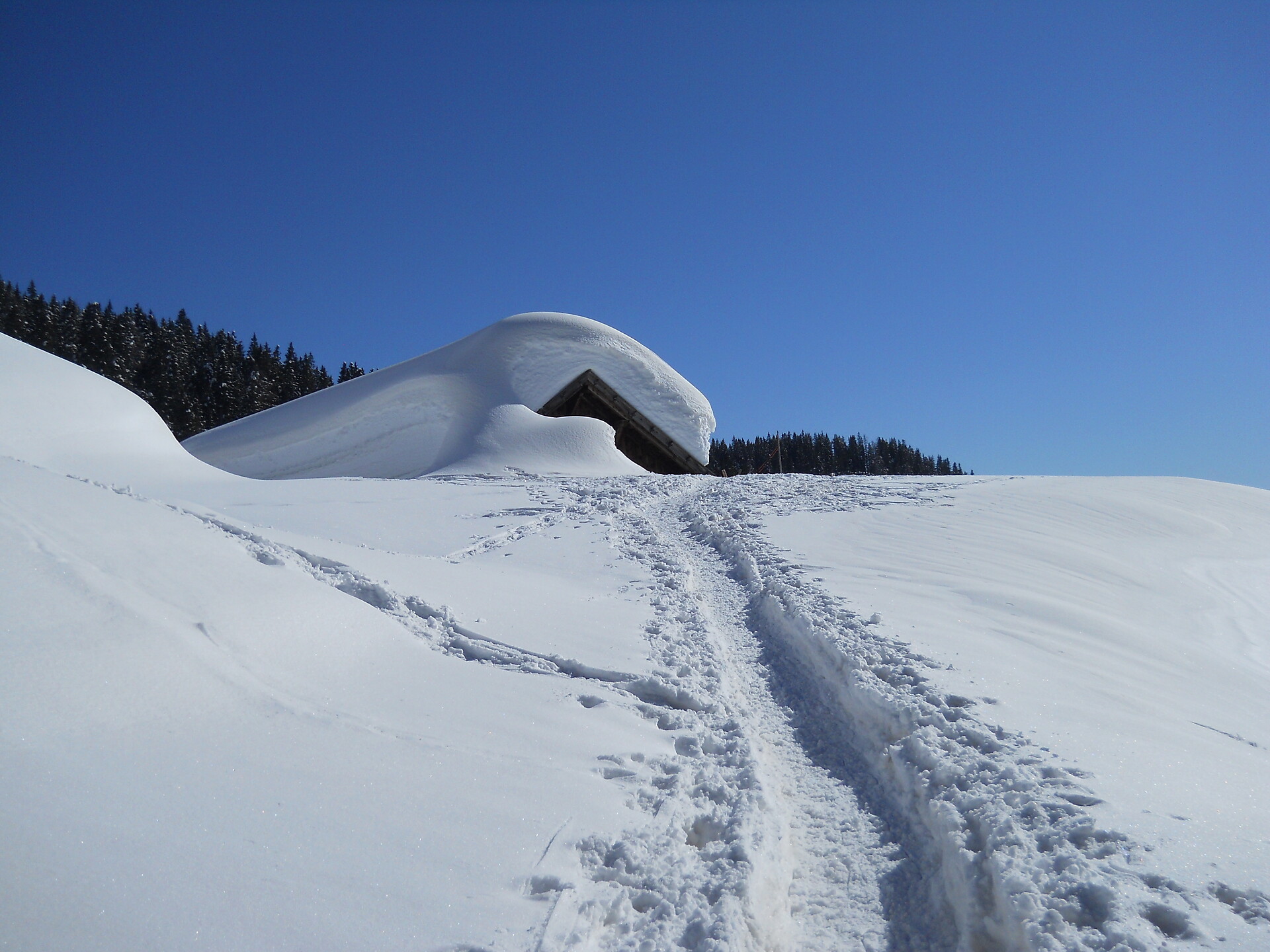 Laureiner Alm Laurein/Lauregno 2 suedtirol.info