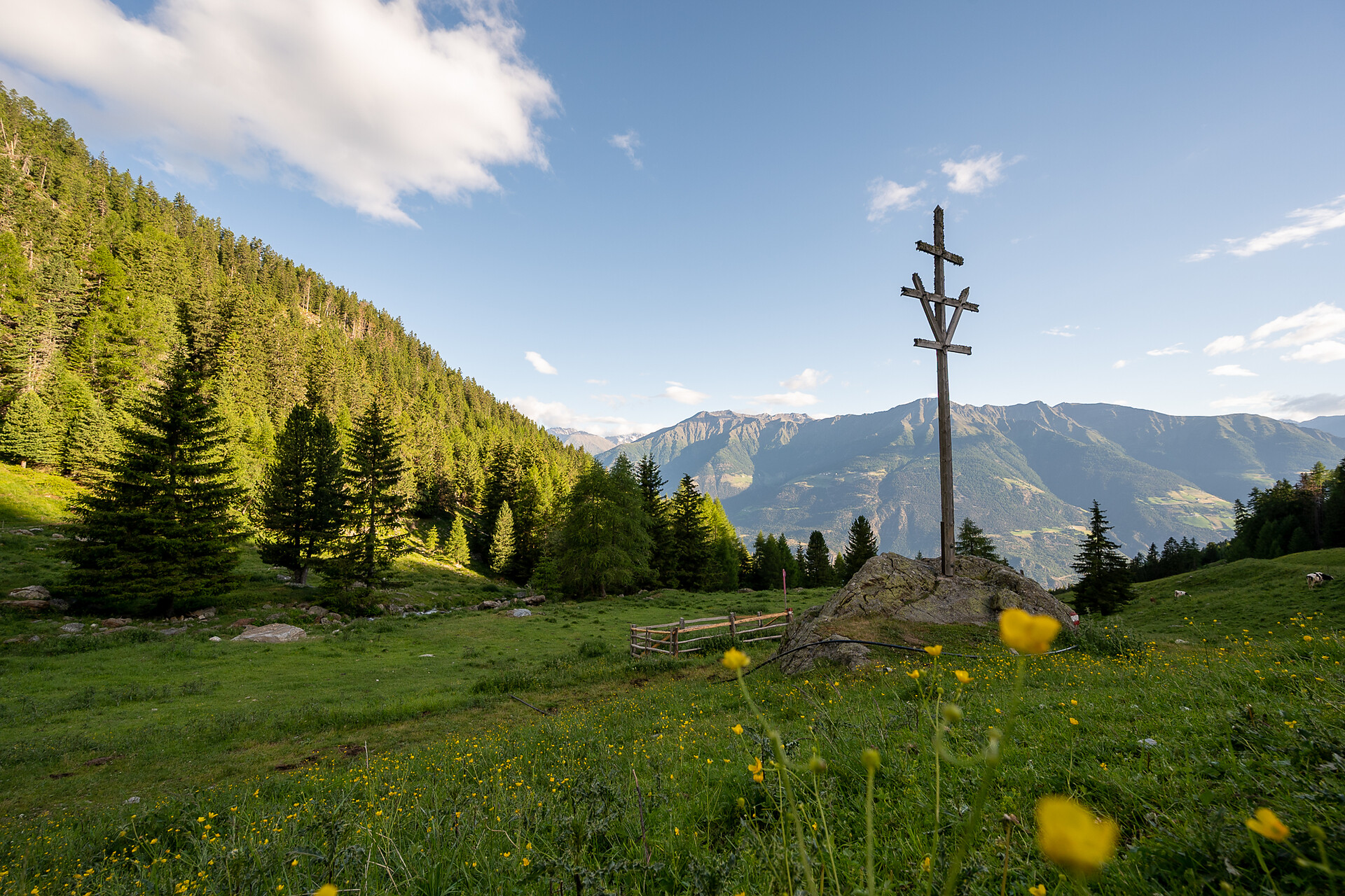Paesaggio