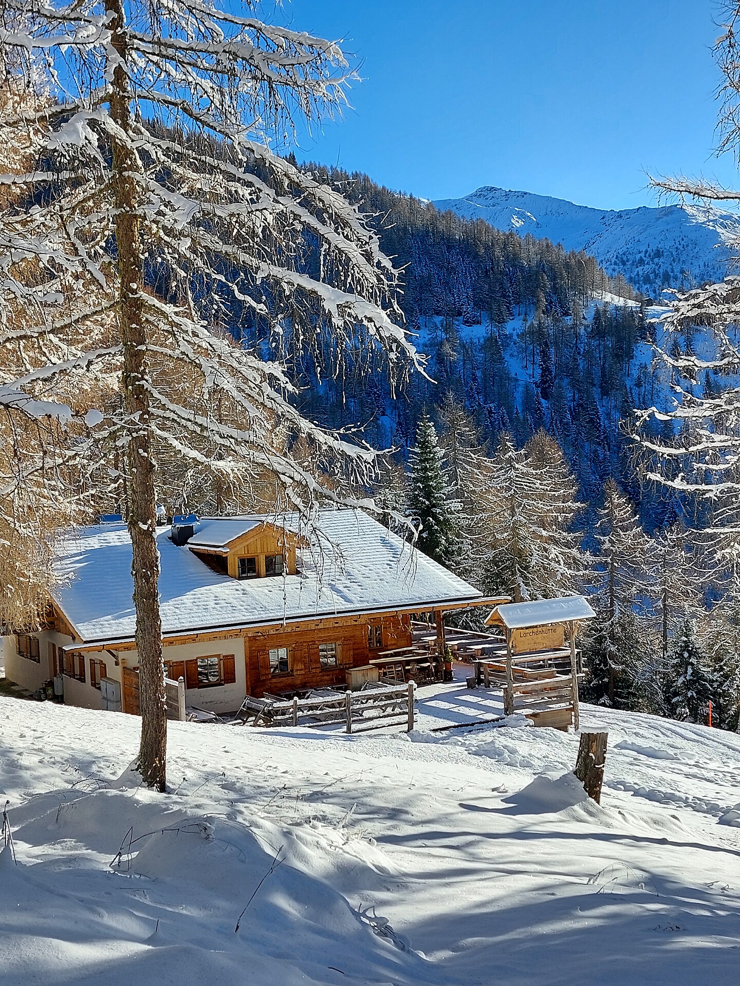Rifugio Larice - Regione dolomitica 3 Cime - #1 - suedtirol.info
