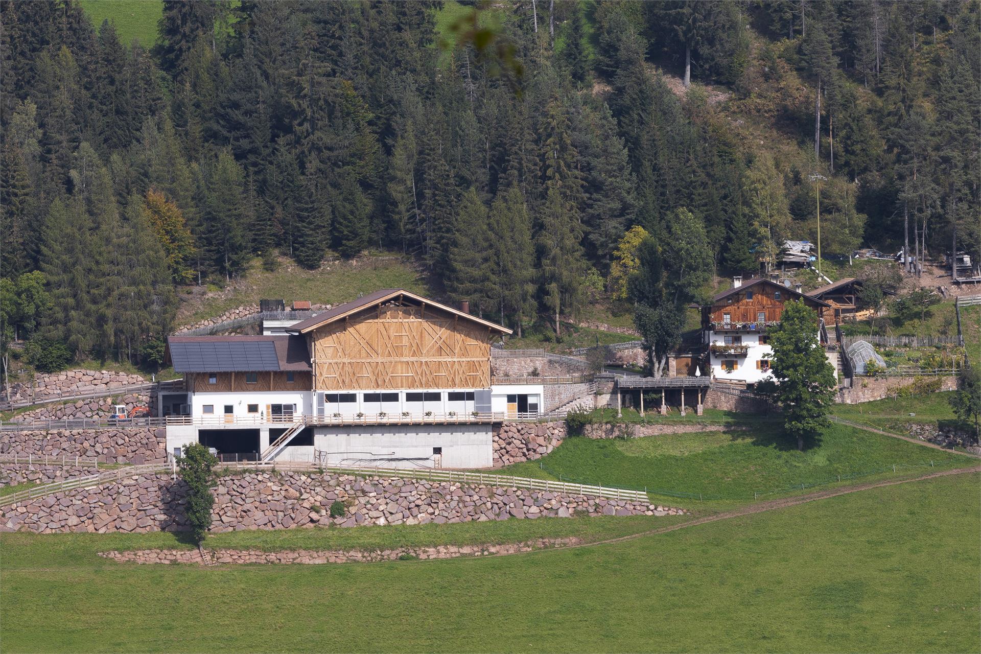 Leitlkeller Jenesien 2 suedtirol.info