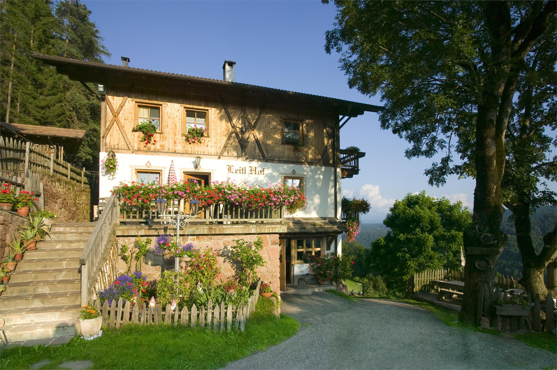 Leitlkeller Jenesien 3 suedtirol.info