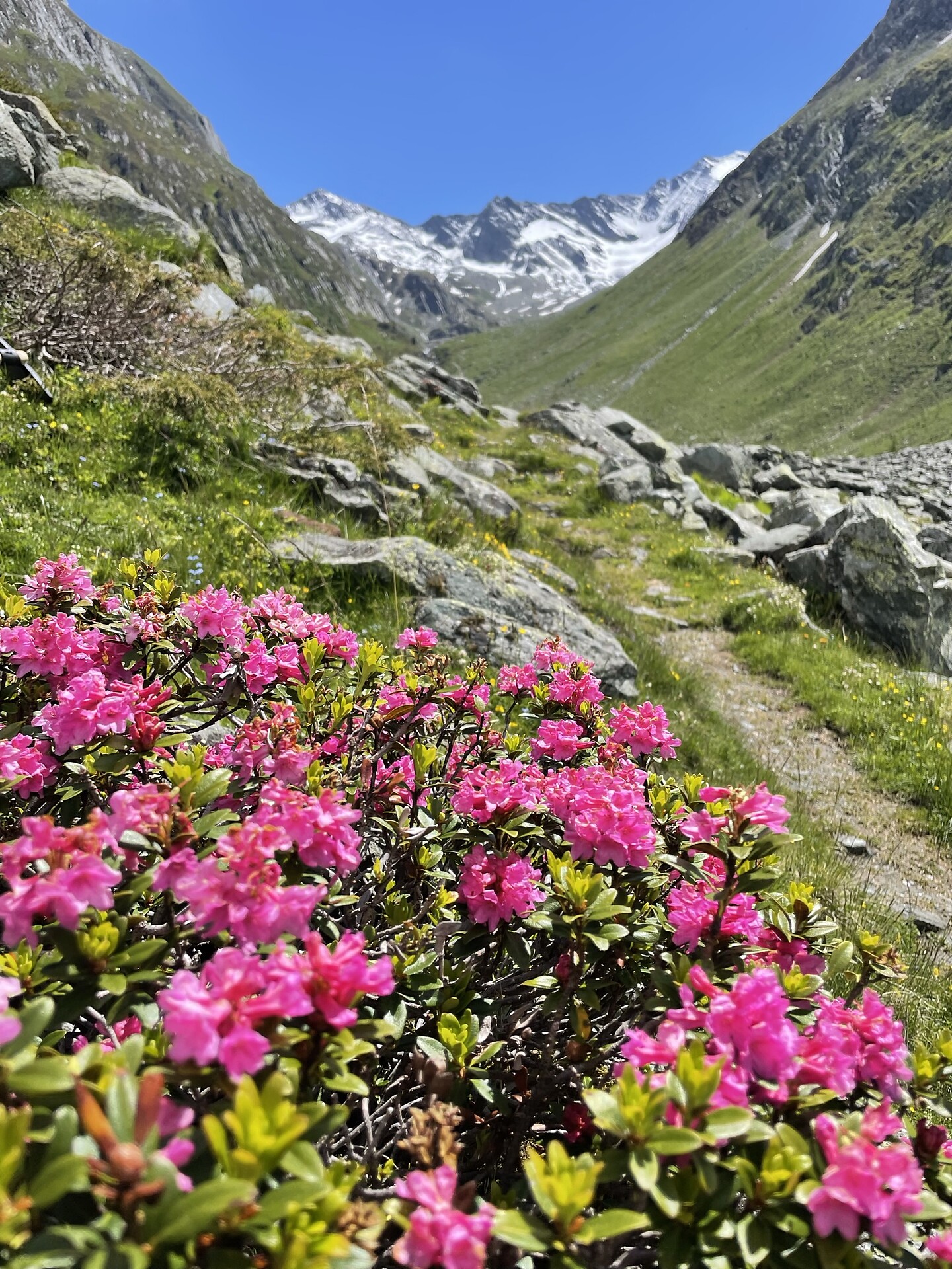Lenkjöchlhütte