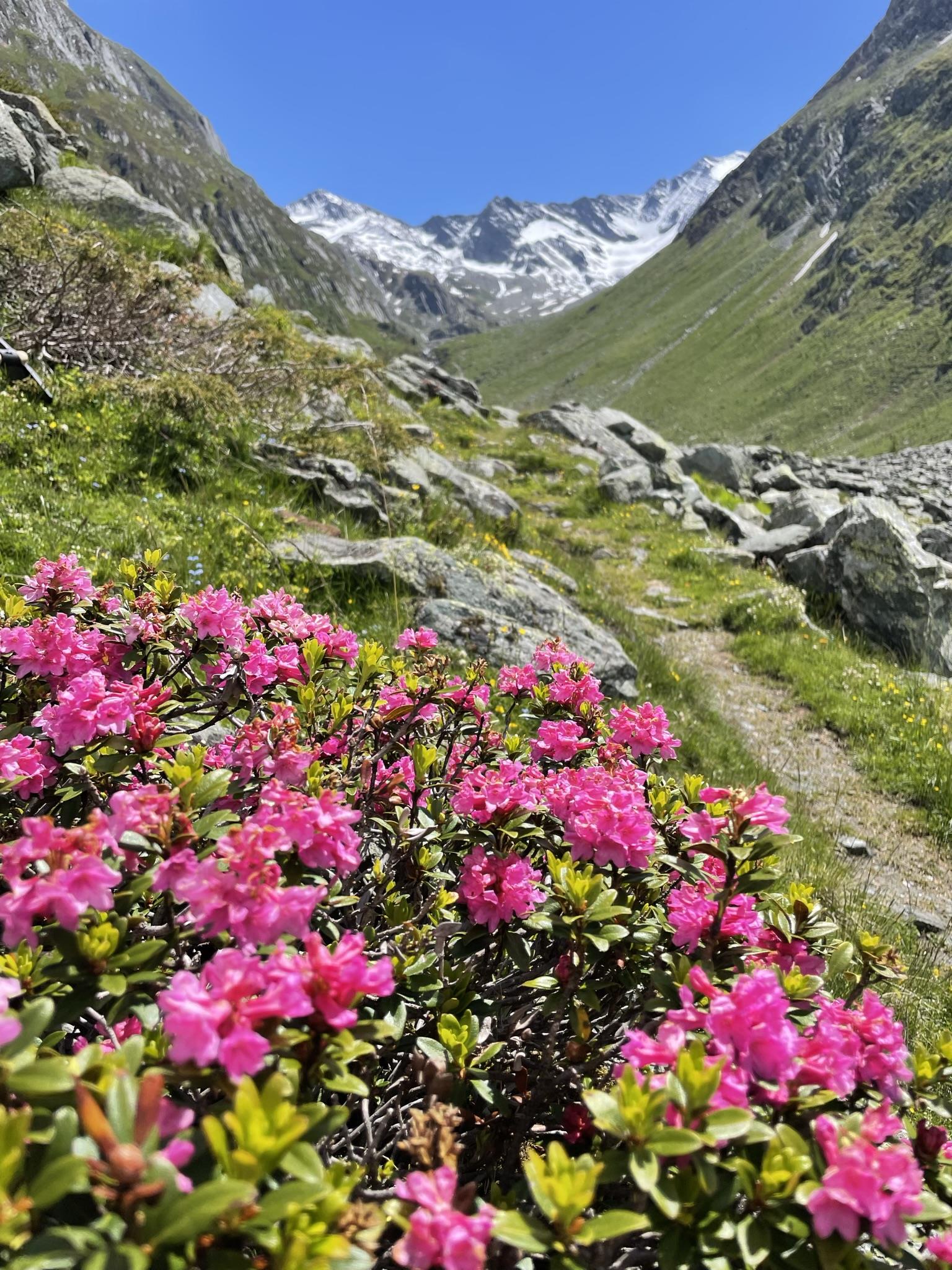 Rifugio Giogo Lungo-Lenkjöchlhütte hut Prettau/Predoi 5 suedtirol.info