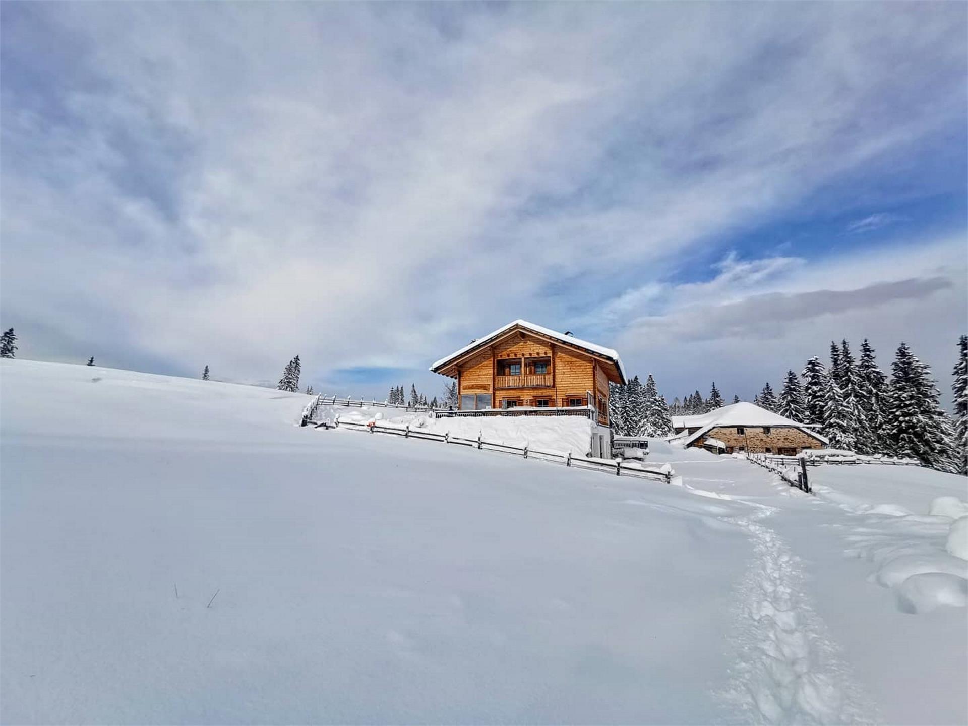 Lieg Alm Deutschnofen 2 suedtirol.info