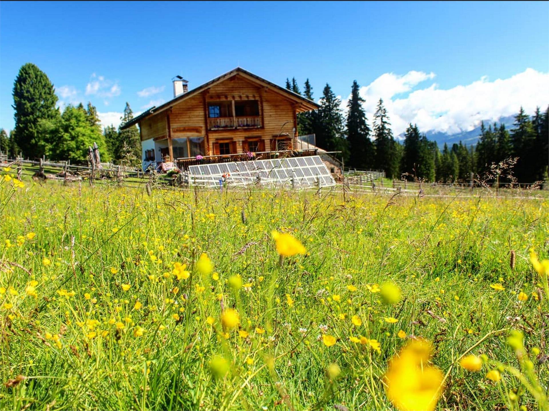 Lieg Alm Deutschnofen 1 suedtirol.info