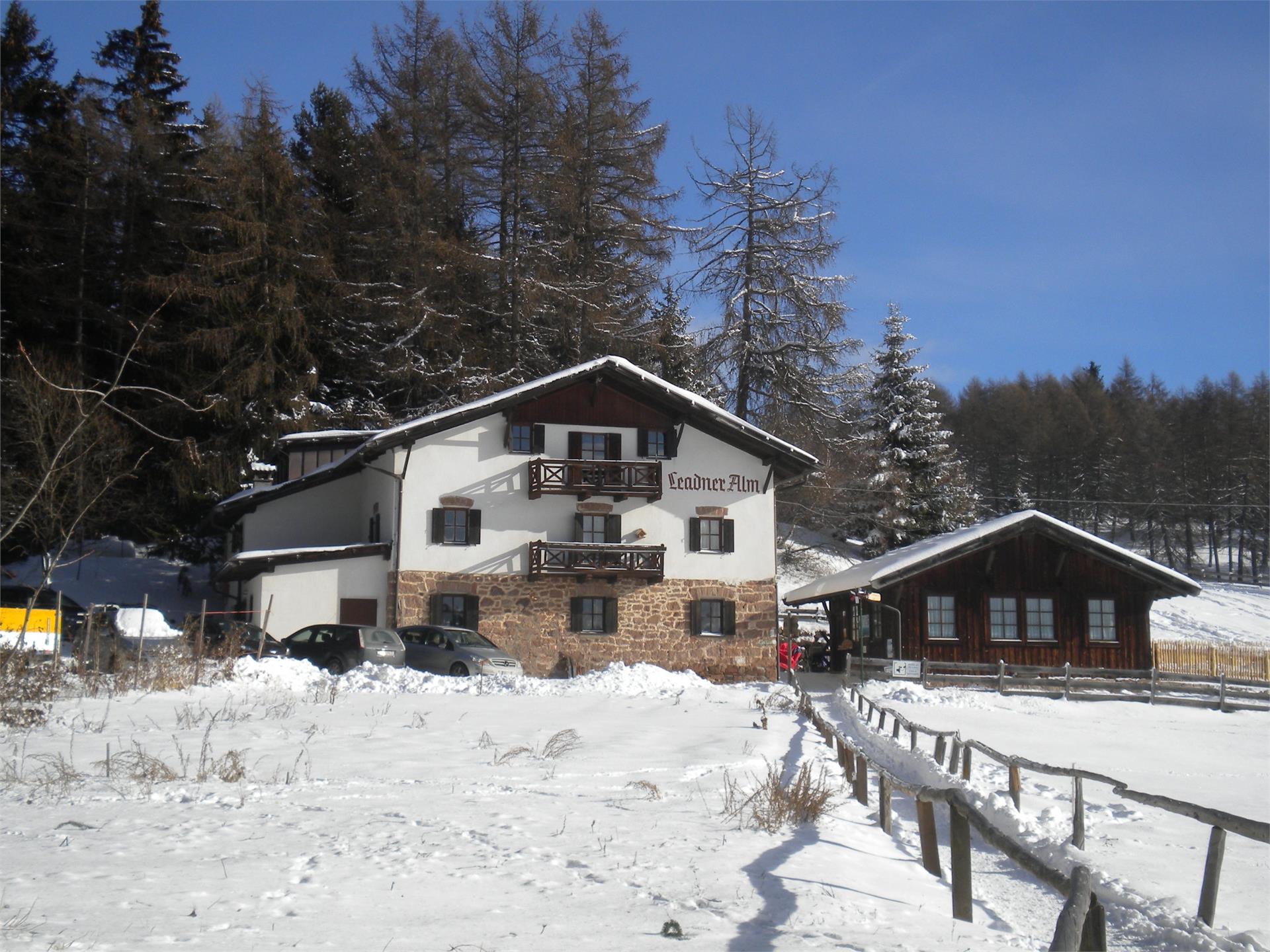 Leadner Alm Vöran 2 suedtirol.info