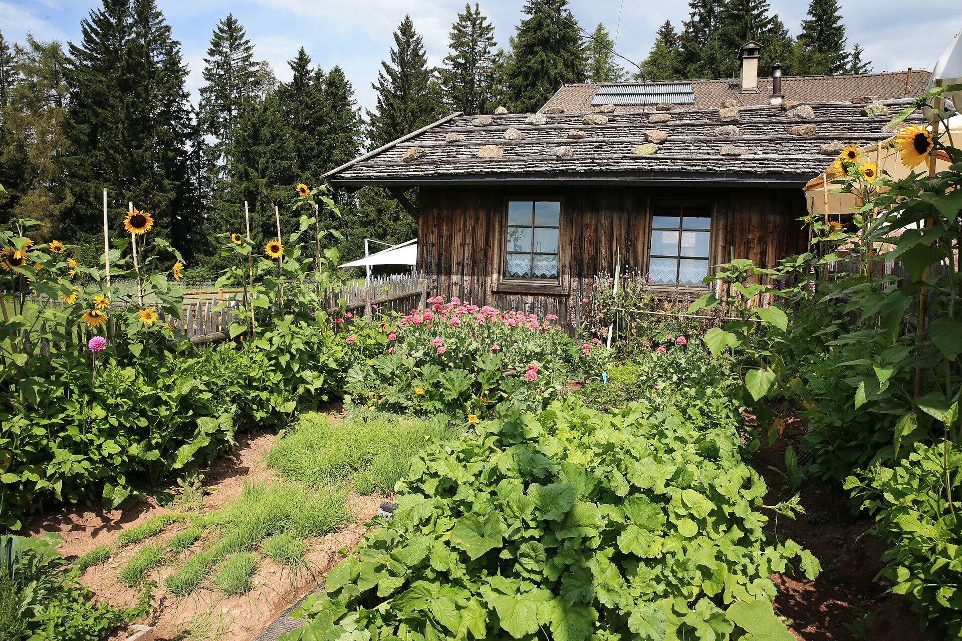 Alp Inn Leadner Alm in Verano/Vöran, South Tyrol