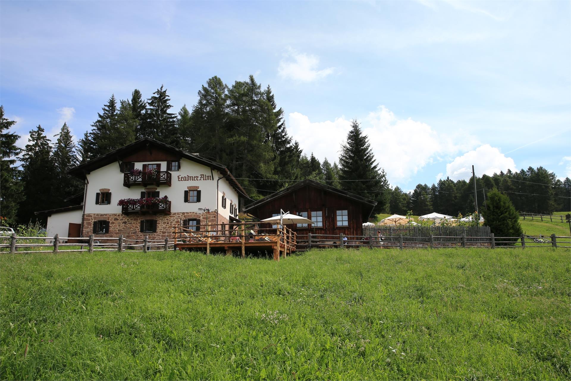 Leadner Alm Vöran 4 suedtirol.info