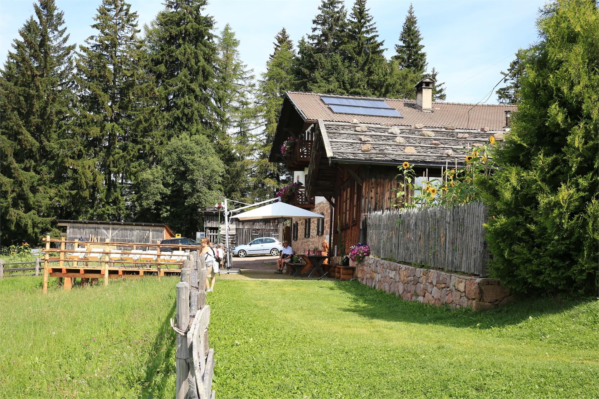 Leadner Alm Vöran 7 suedtirol.info