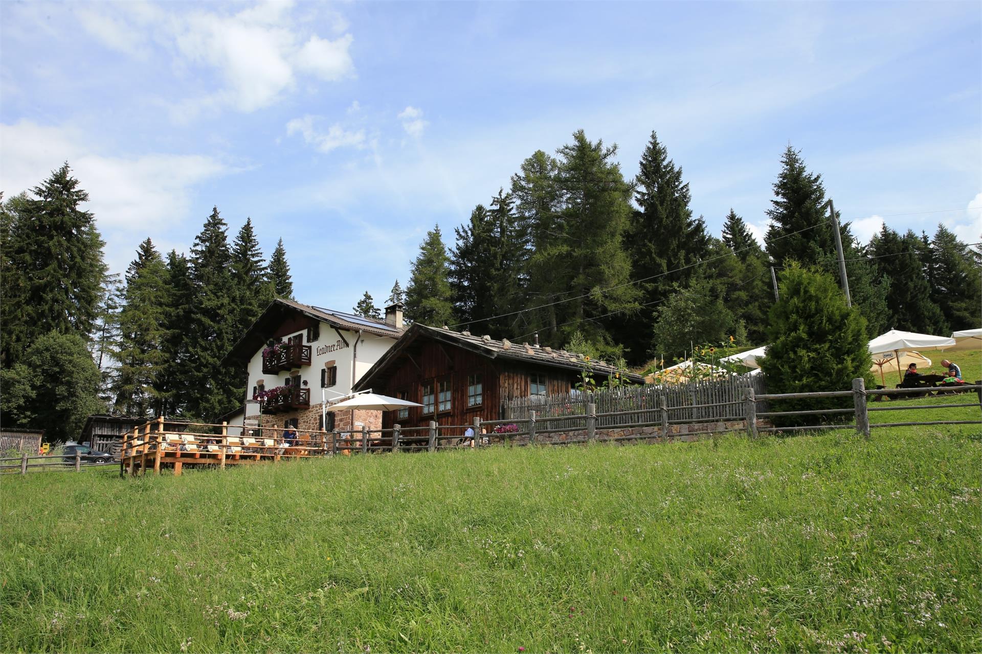 Leadner Alm Vöran 5 suedtirol.info