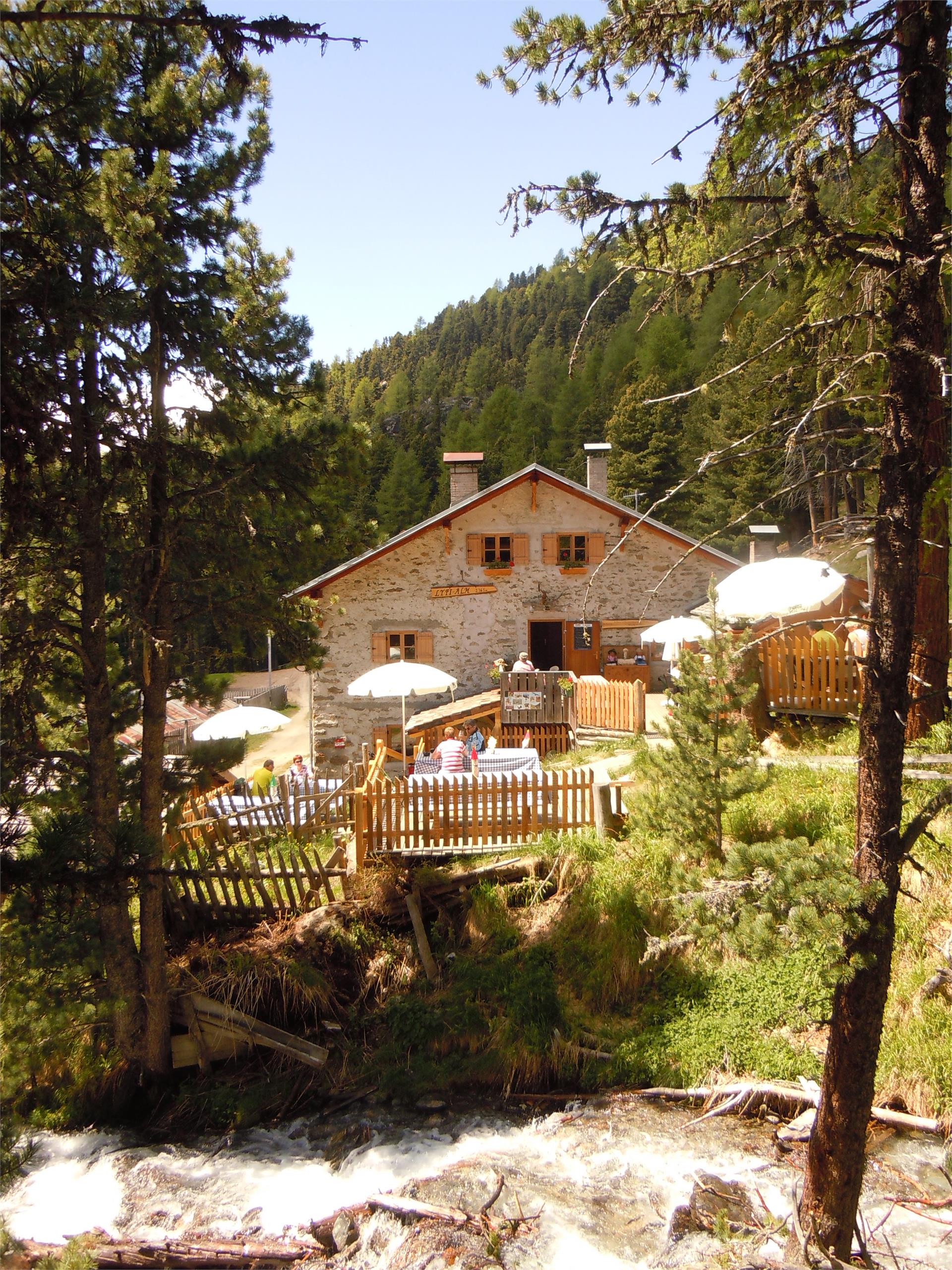 Lyfi Alm Martell/Martello 1 suedtirol.info