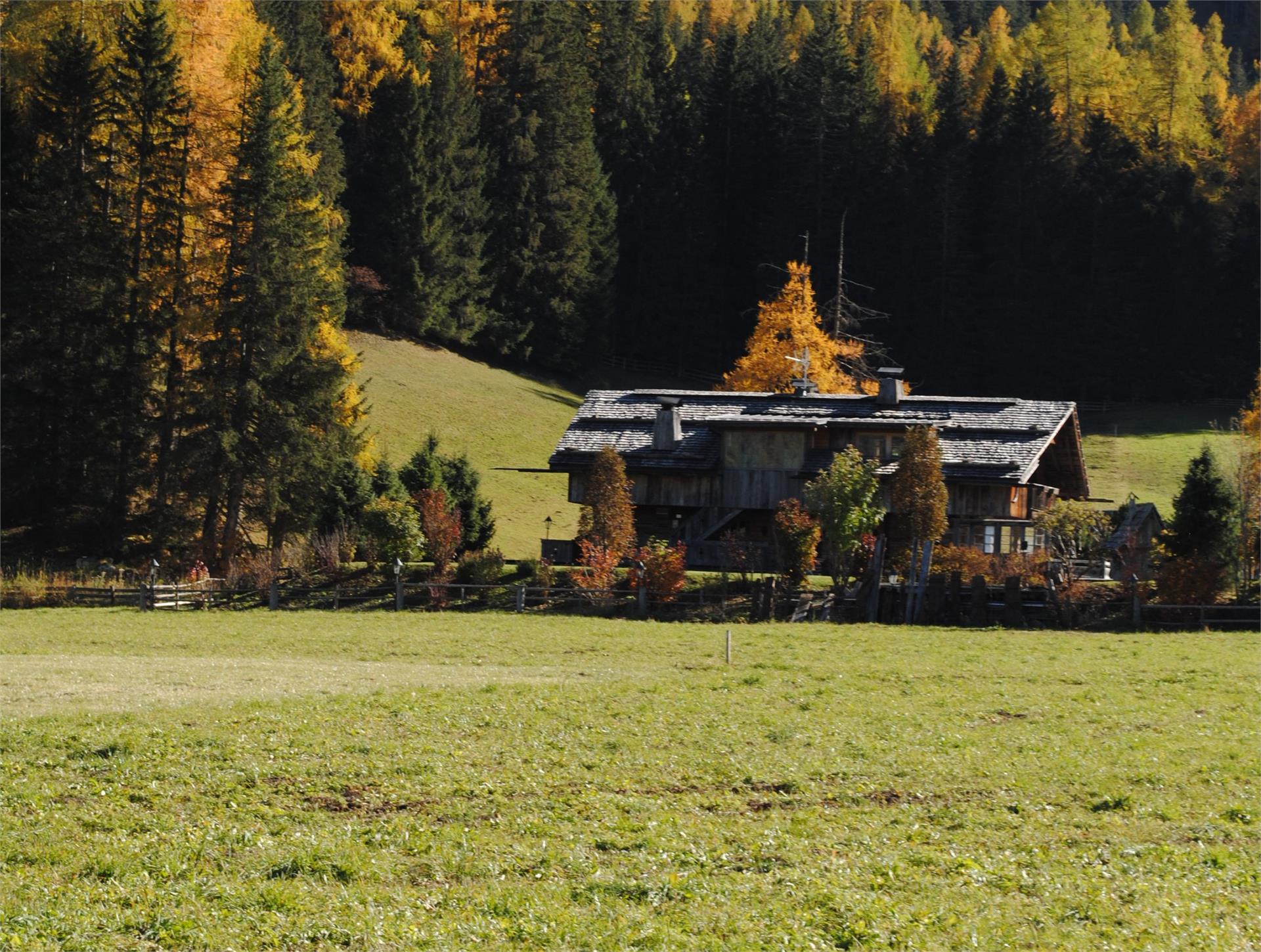 Luis Alm Sexten/Sesto 1 suedtirol.info