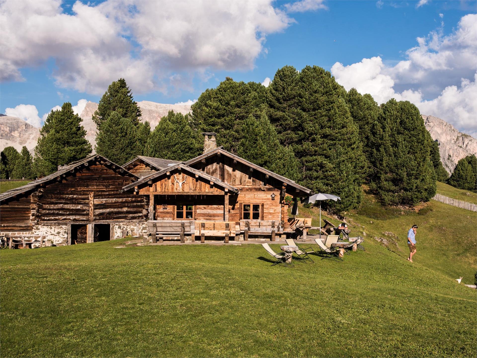 Malga Lech Sant Santa Cristina Val Gardena 1 suedtirol.info