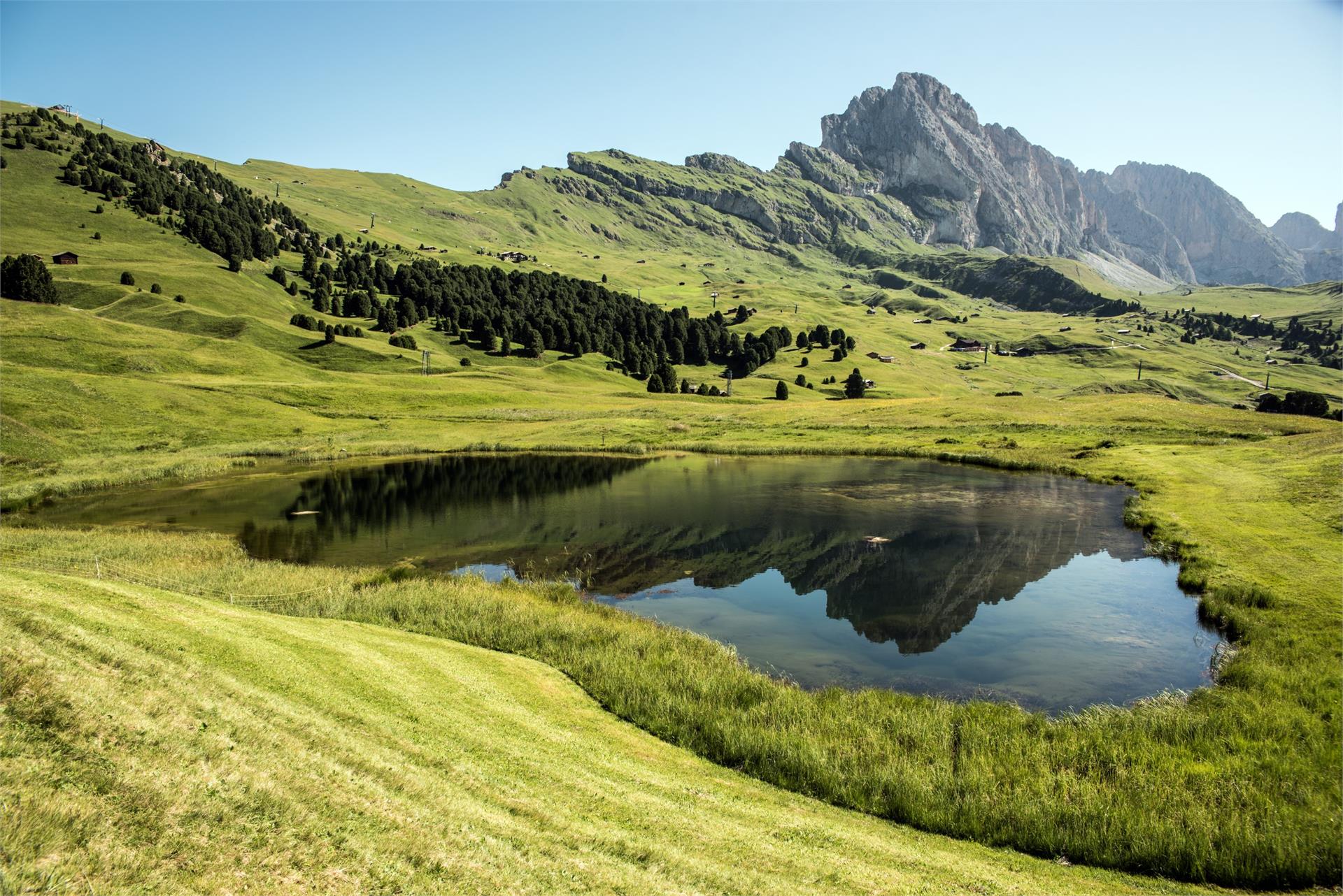 Malga Lech Sant Santa Cristina Val Gardena 3 suedtirol.info