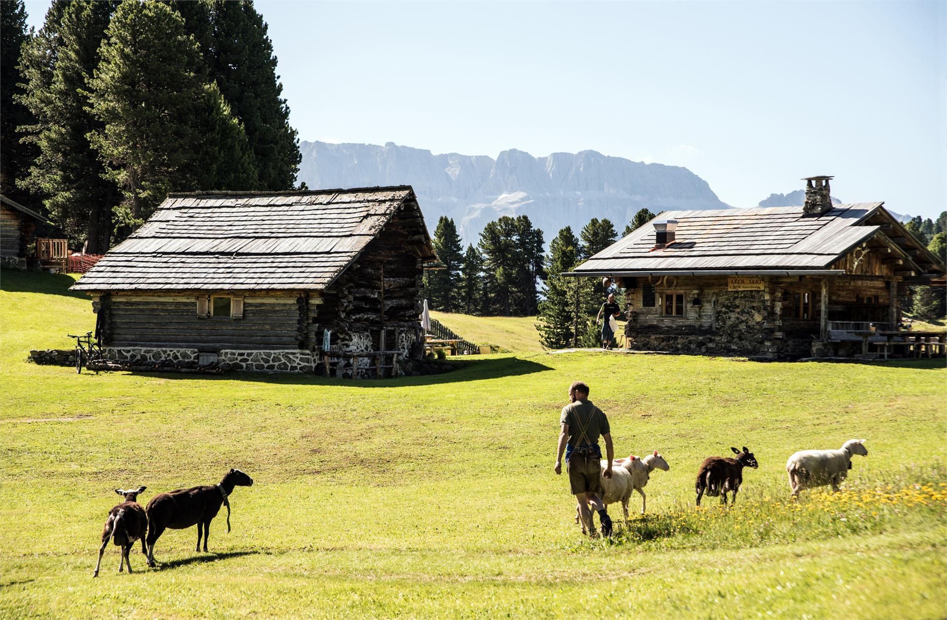 Malga Lech Sant Santa Cristina Val Gardena 5 suedtirol.info