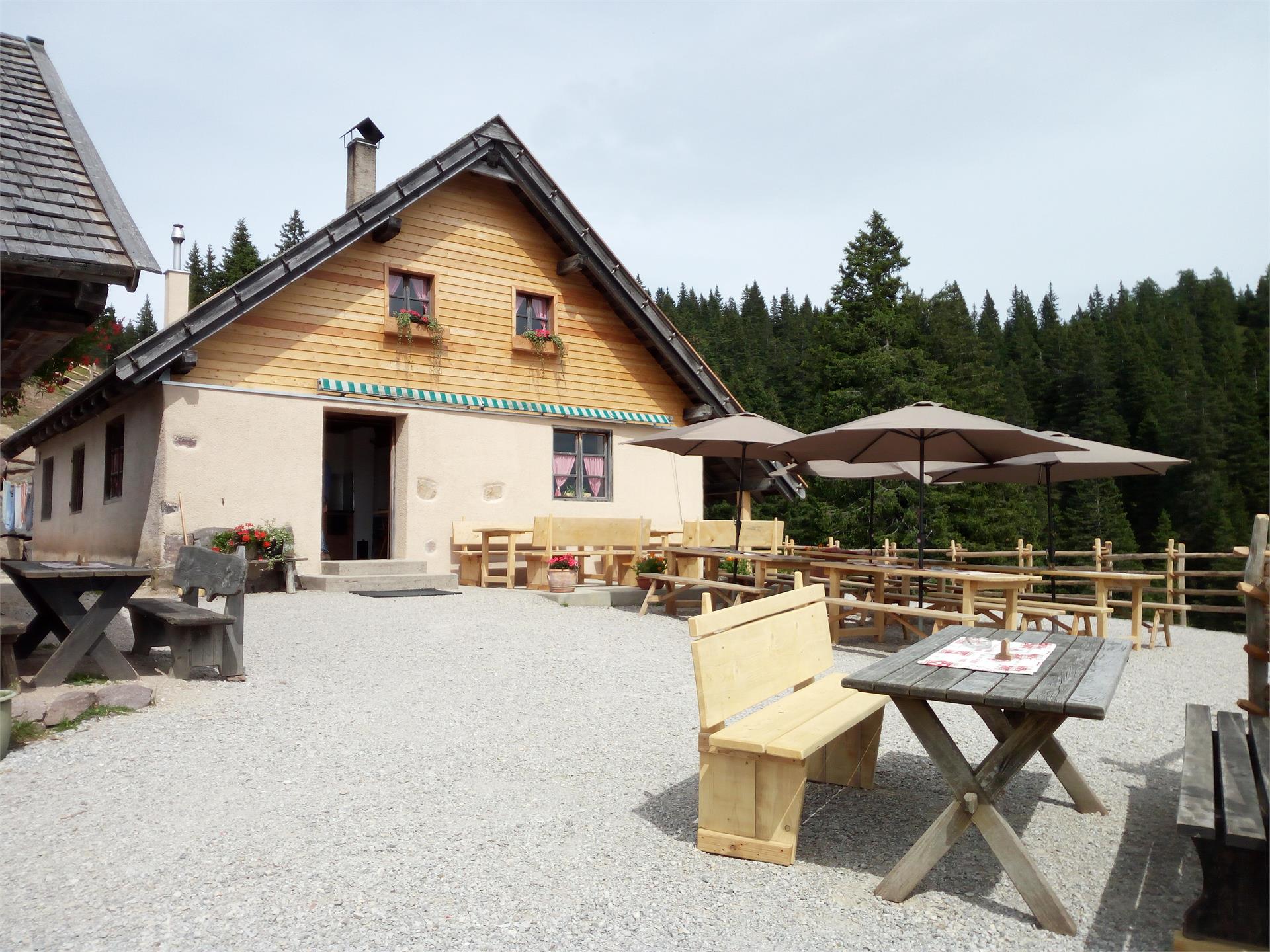 Laureiner Alm Laurein/Lauregno 2 suedtirol.info