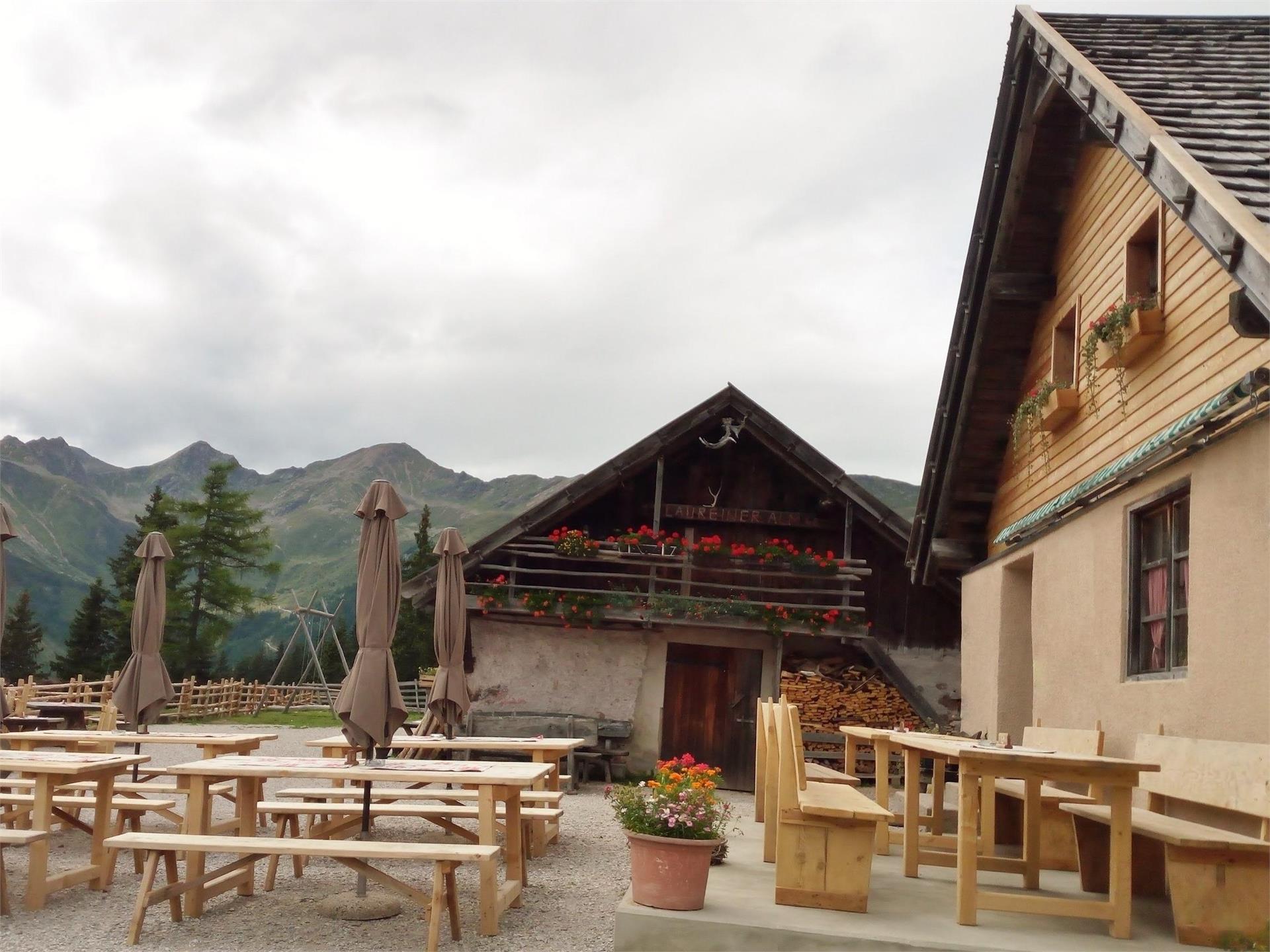 Laureiner Alm Laurein/Lauregno 1 suedtirol.info