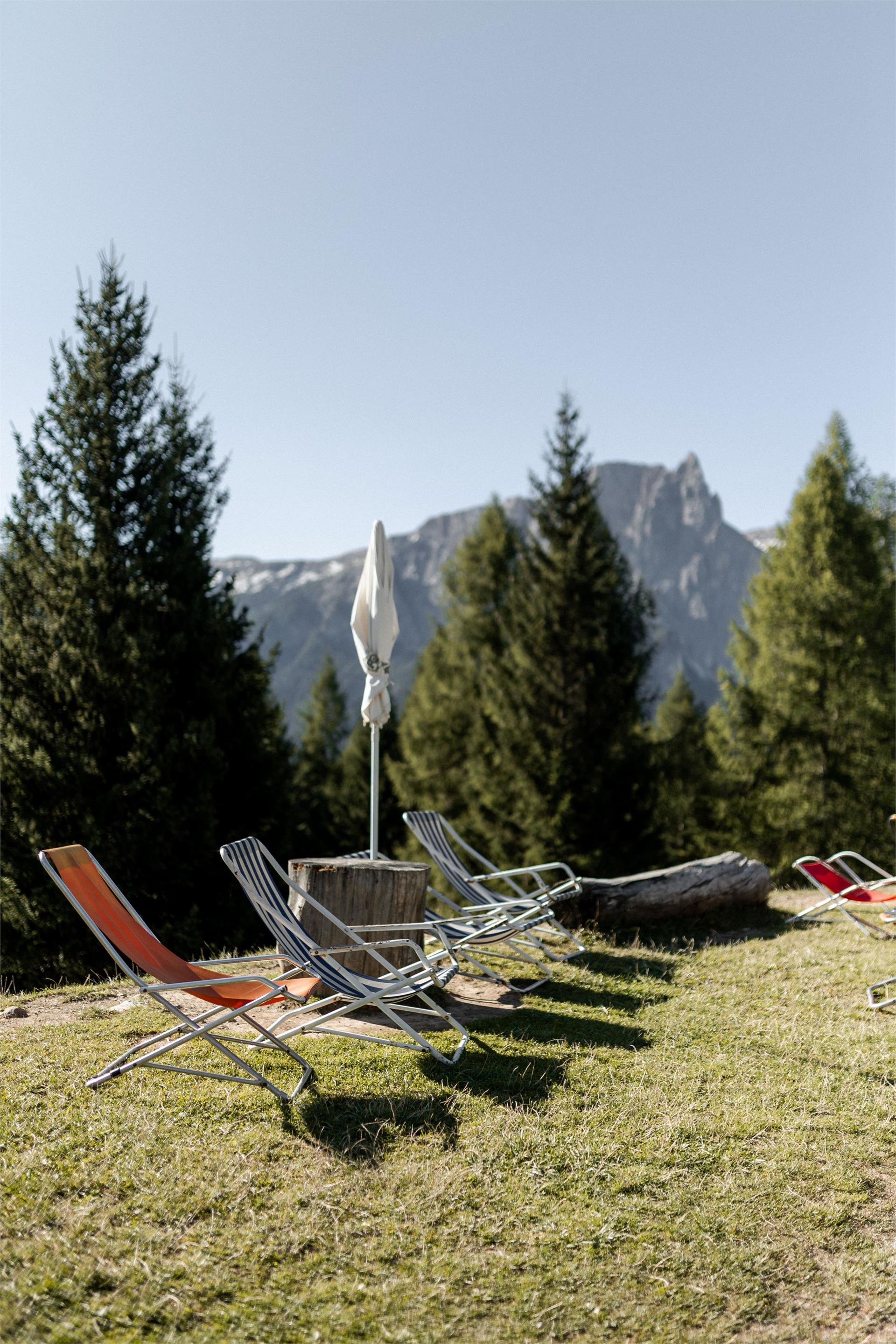 Baita Marinzen Castelrotto 4 suedtirol.info