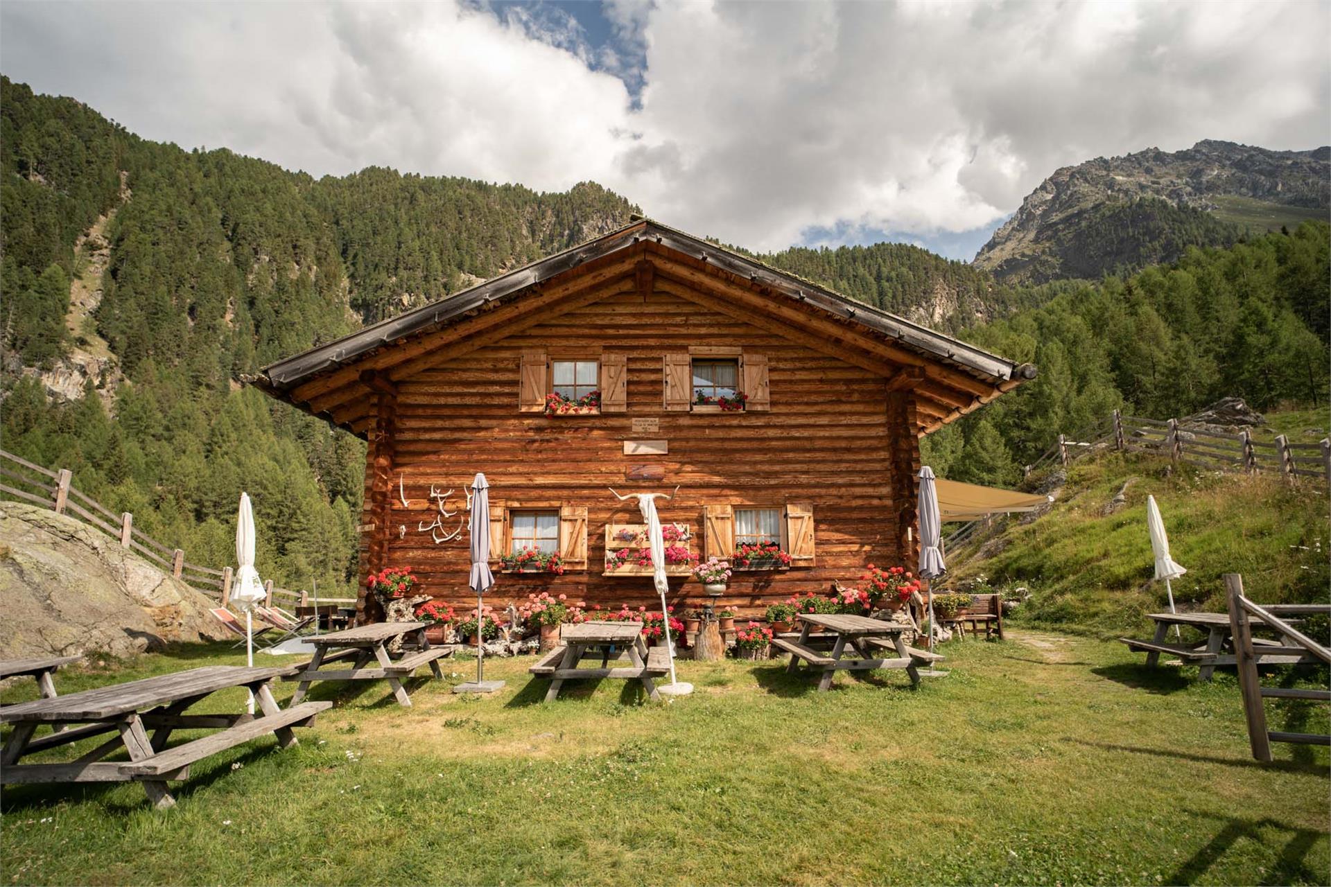 Morterer Alm Latsch/Laces 1 suedtirol.info