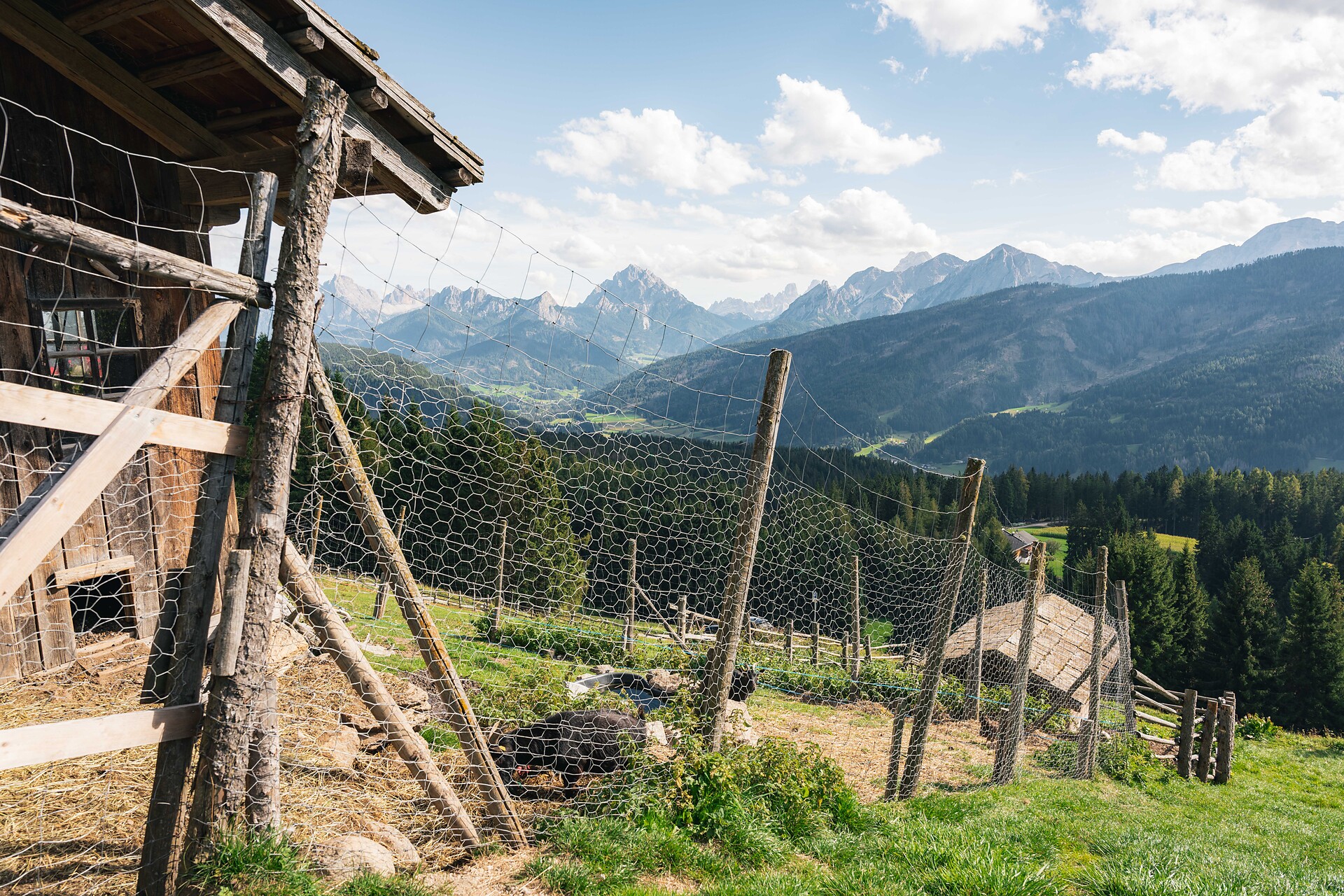 Mudler Berggasthaus 1.584m - Dolomitenregion Kronplatz - #7 - suedtirol.info