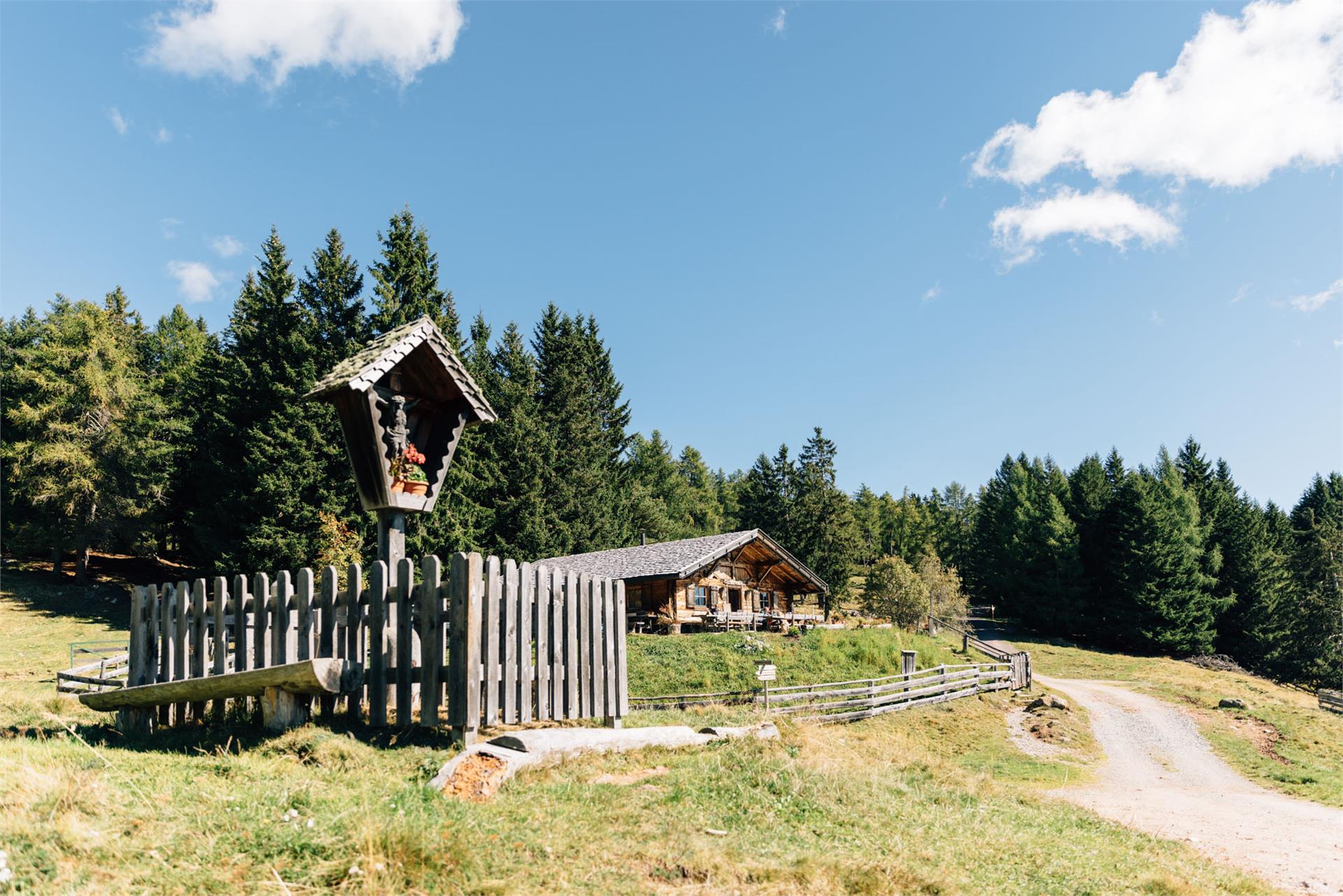 Moschwaldalm Hafling 2 suedtirol.info