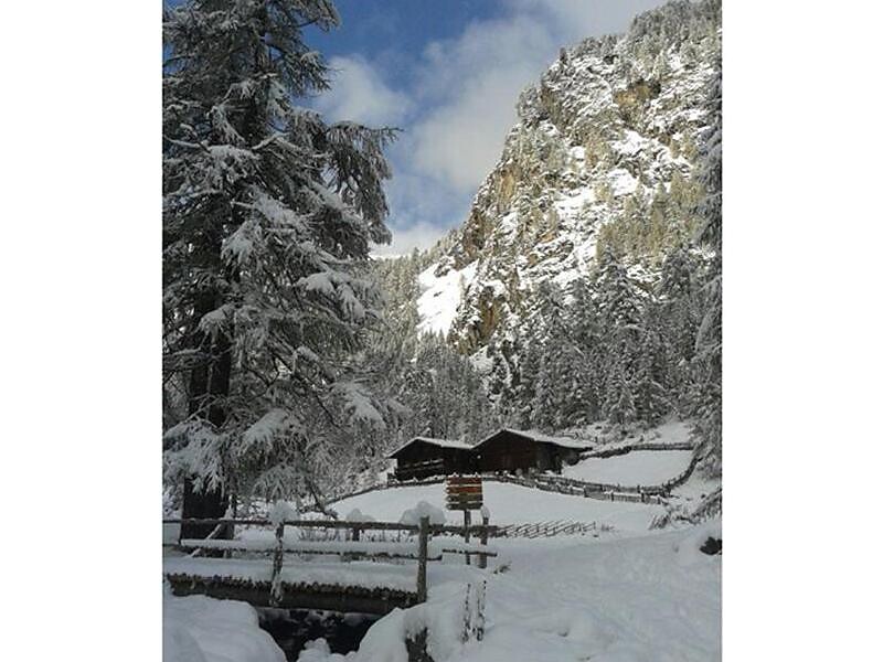 Mastaunalm - Vinschgau/Val Venosta - #2 - suedtirol.info