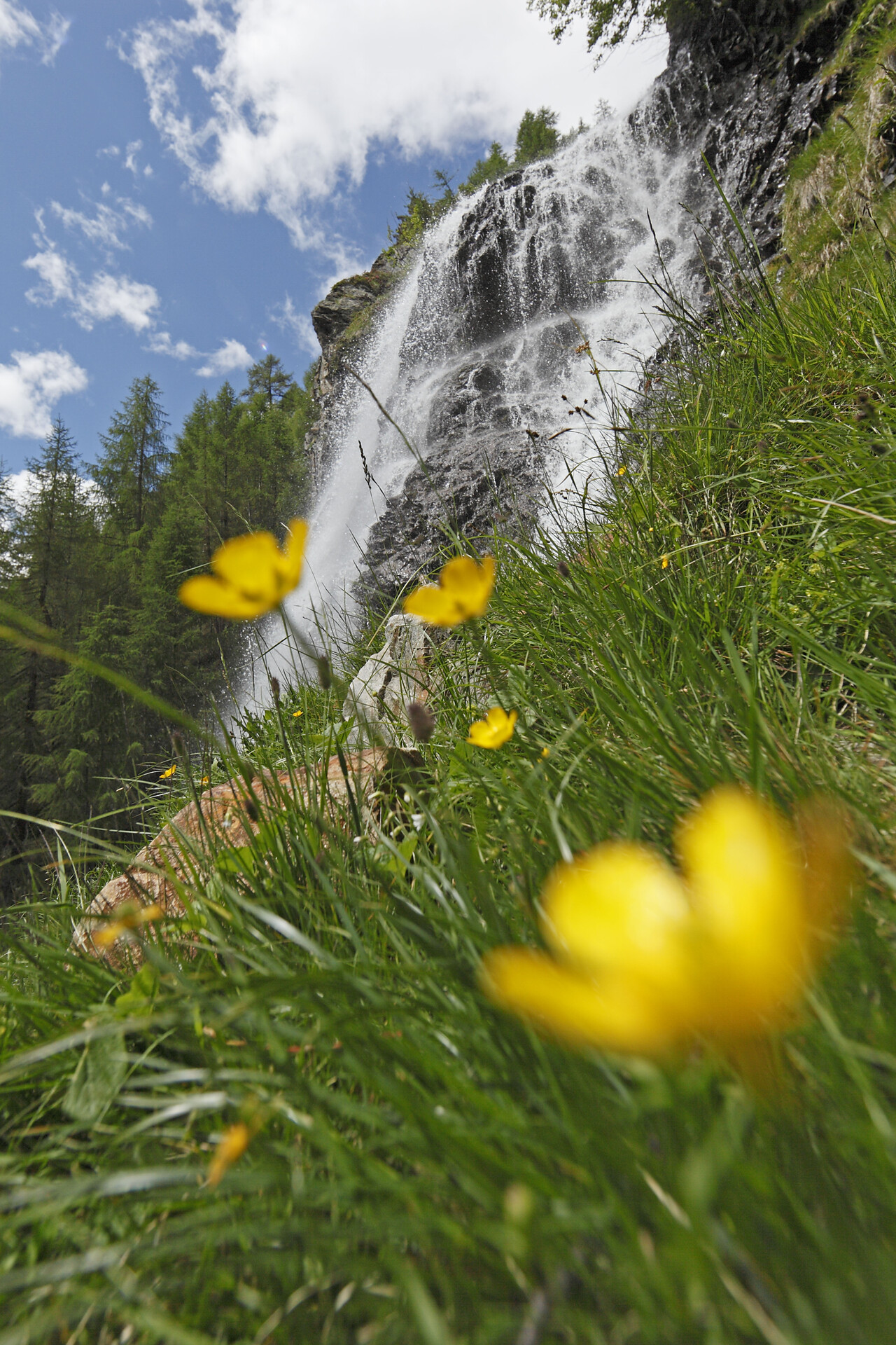 Mastaunalm - Vinschgau/Val Venosta - #4 - suedtirol.info