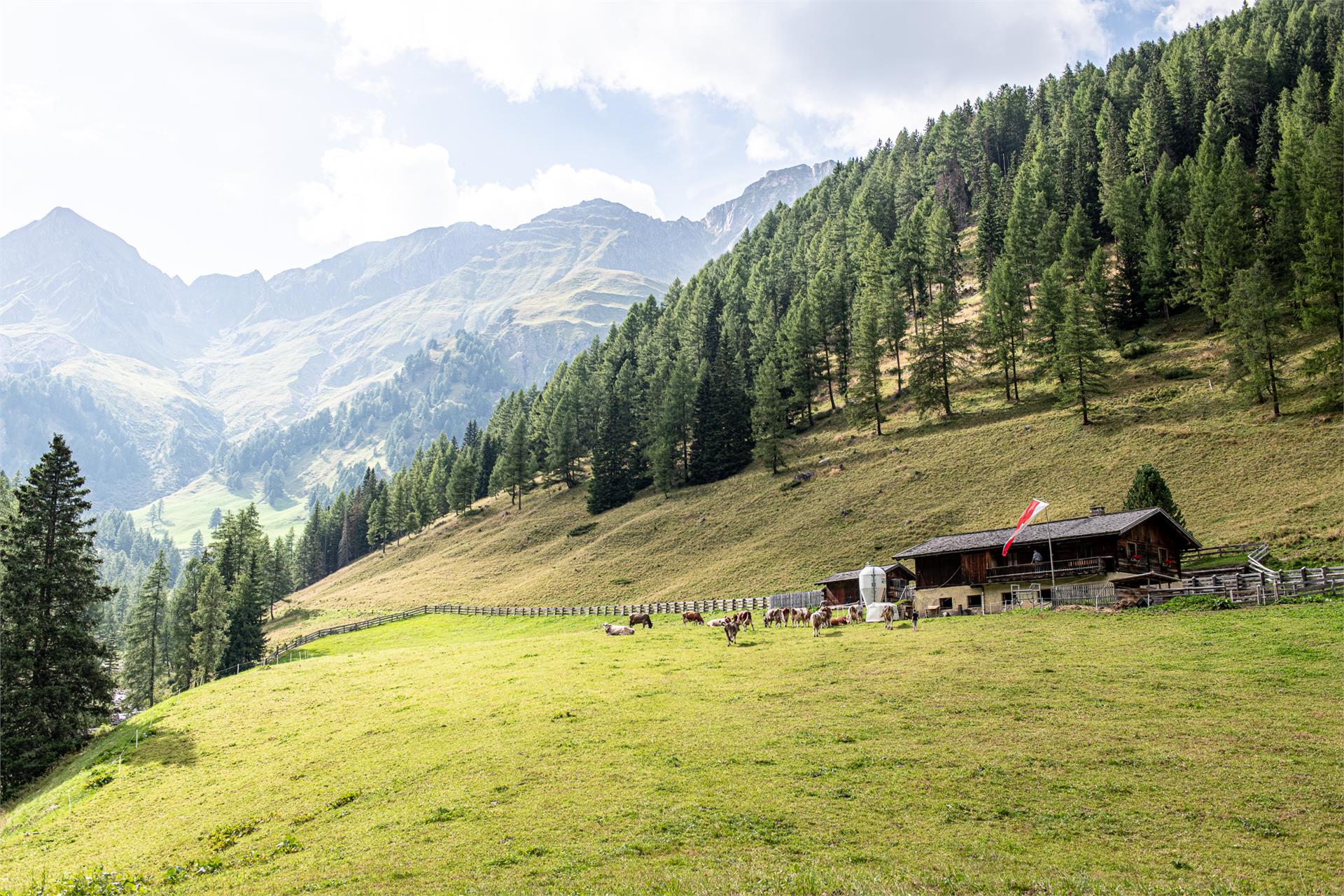 Mair am Tinkhof Alm hut Mühlwald/Selva dei Molini 9 suedtirol.info