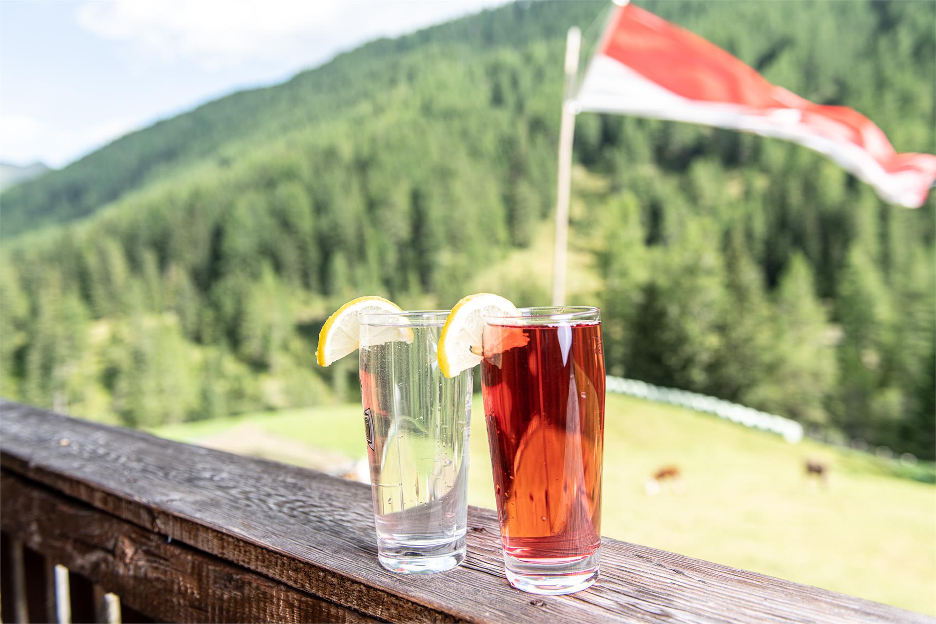 Mair am Tinkhof Alm hut Mühlwald/Selva dei Molini 8 suedtirol.info