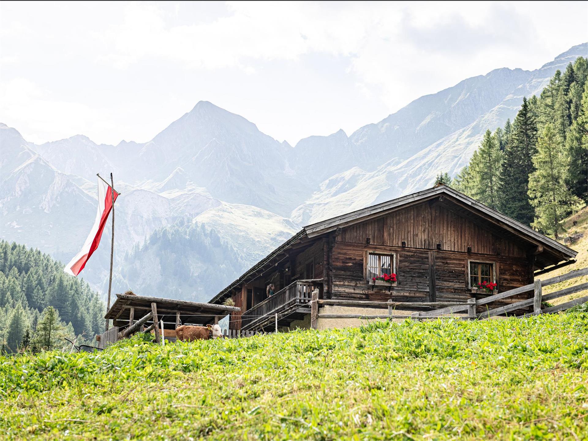 Mair am Tinkhof Alm hut Mühlwald/Selva dei Molini 1 suedtirol.info