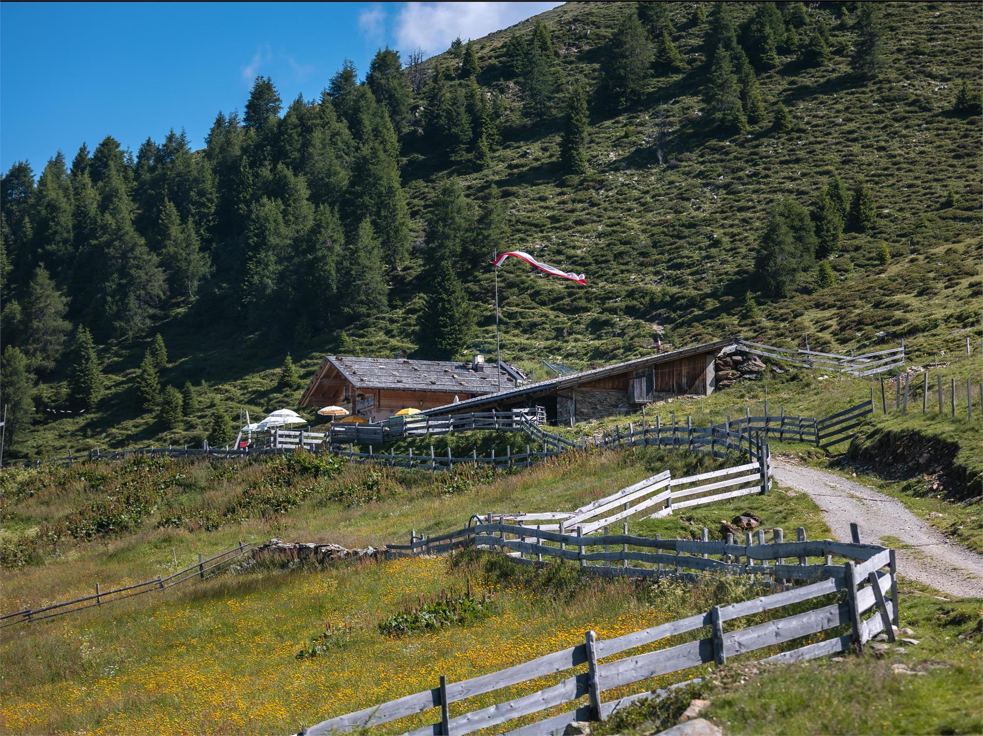 Mahdalm - malga Scena 1 suedtirol.info