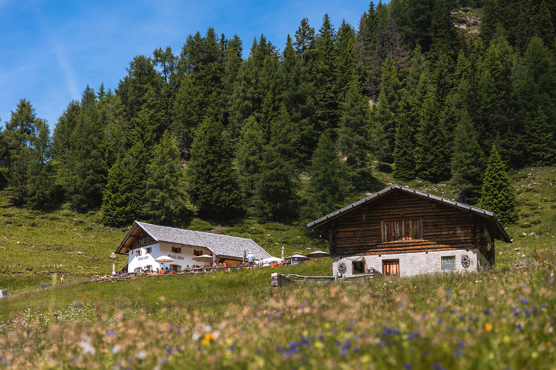 Mahdalm - malga Scena 3 suedtirol.info