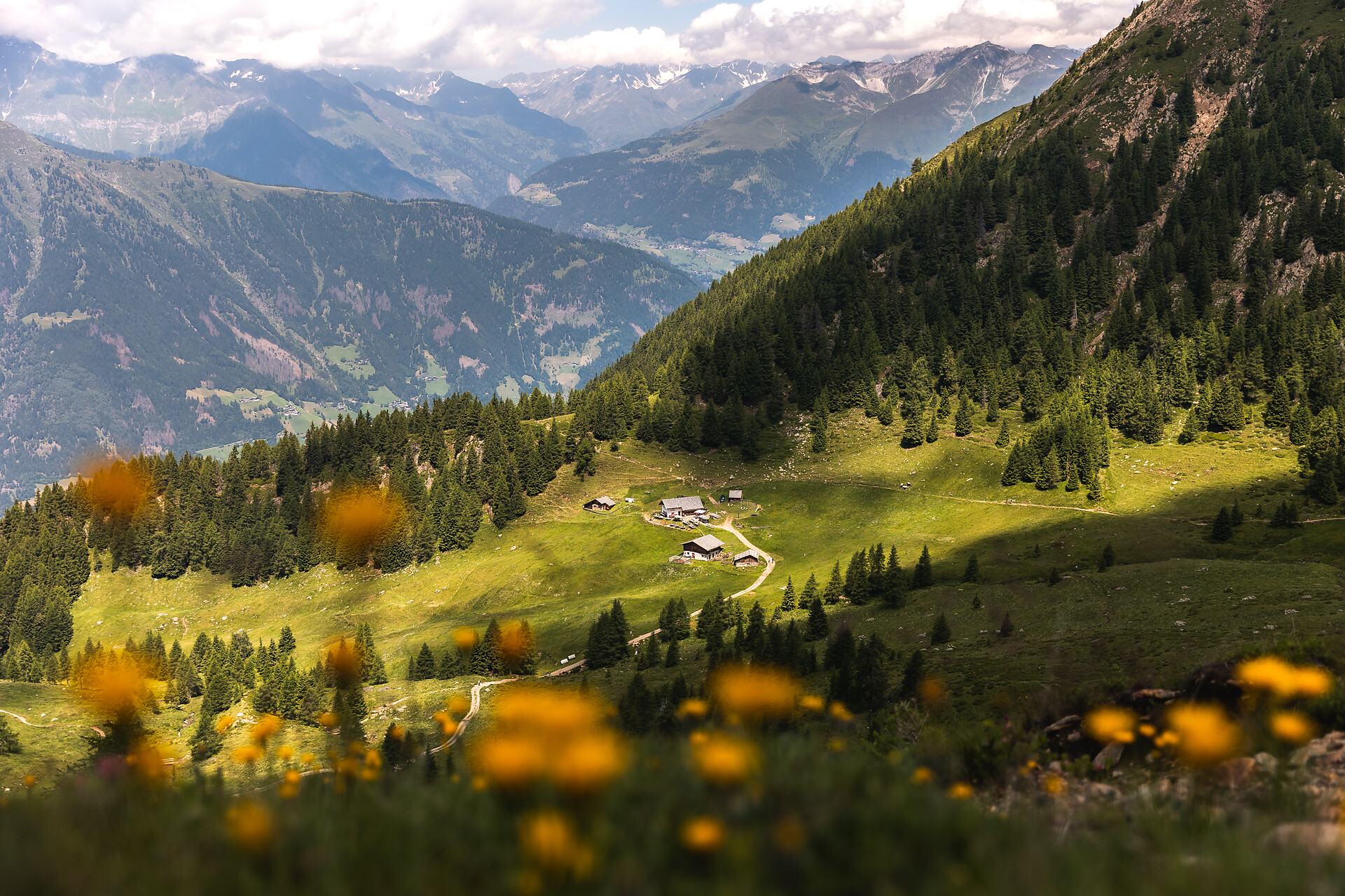 Mahdalm - malga Scena 2 suedtirol.info