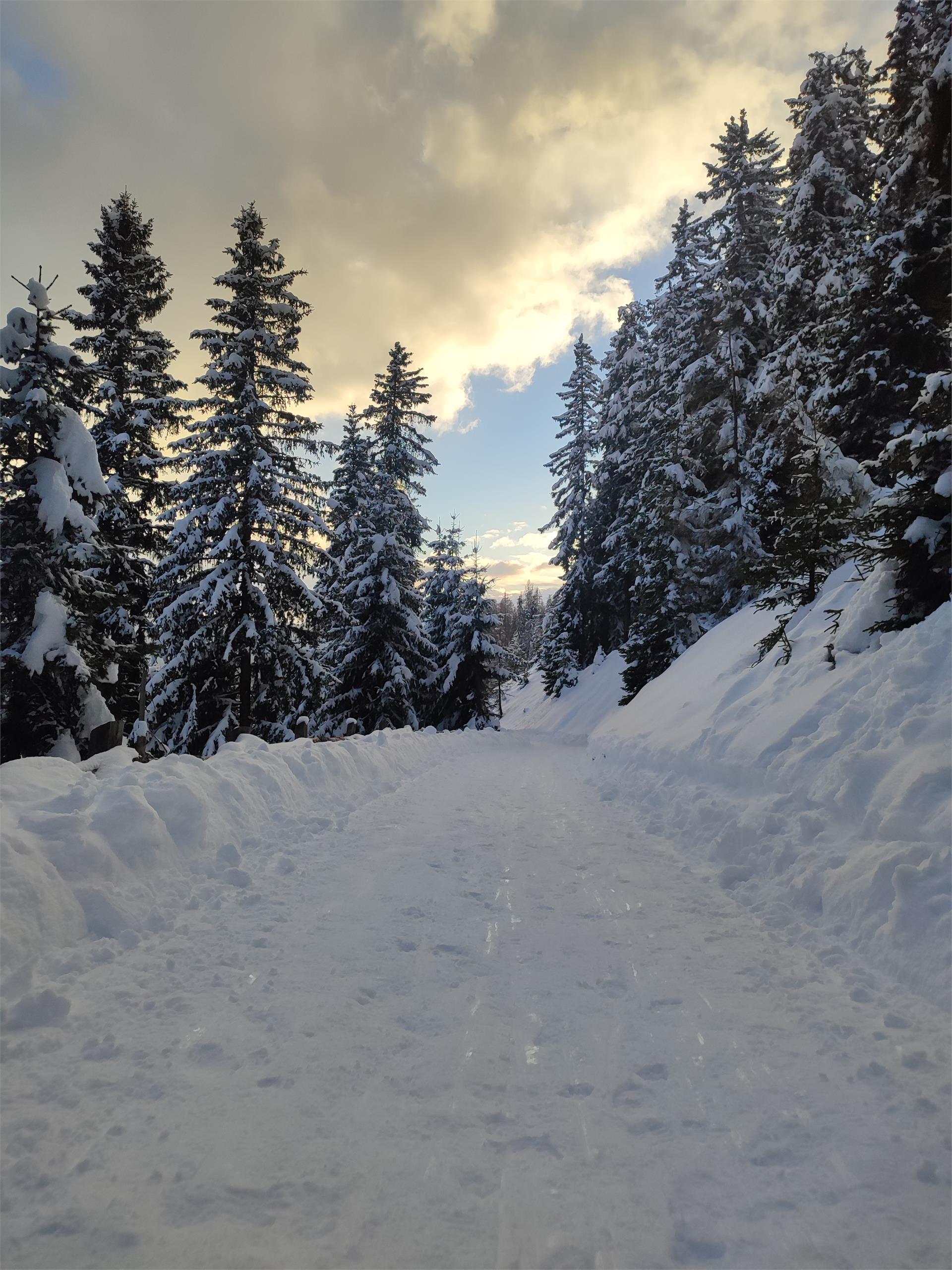 Malga Moarhof Chienes 12 suedtirol.info