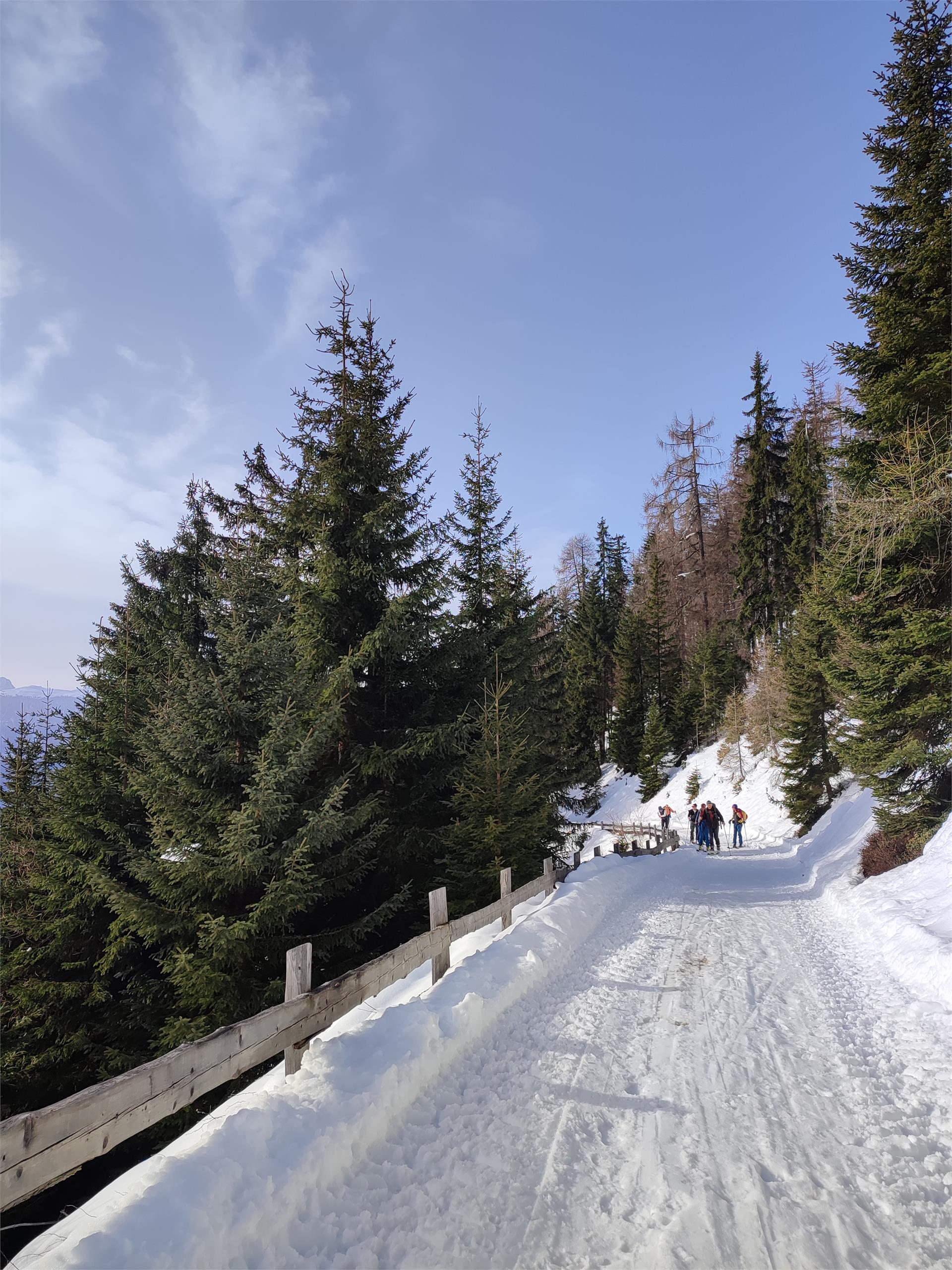 Malga Moarhof Chienes 13 suedtirol.info