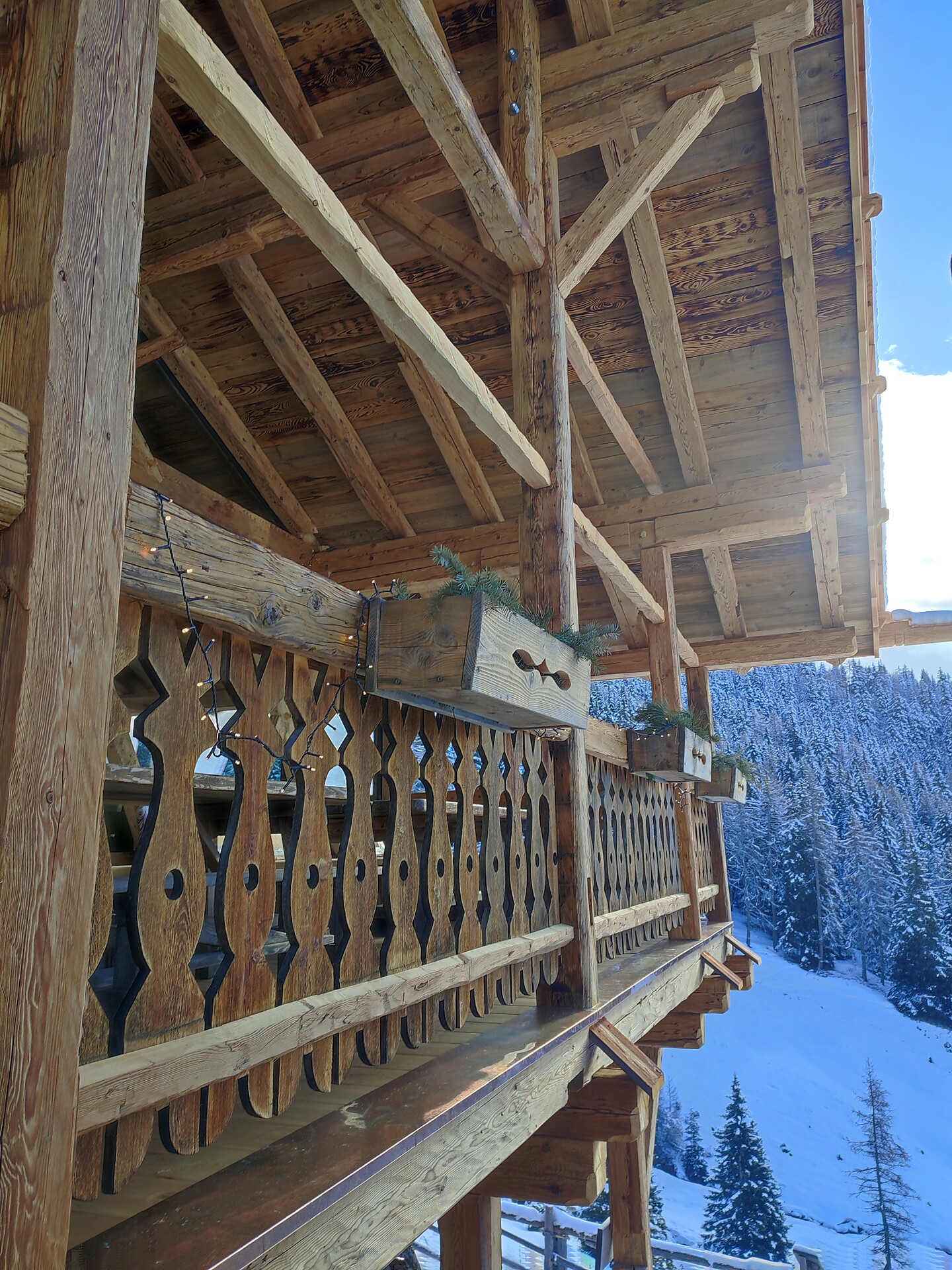 Alpine hut