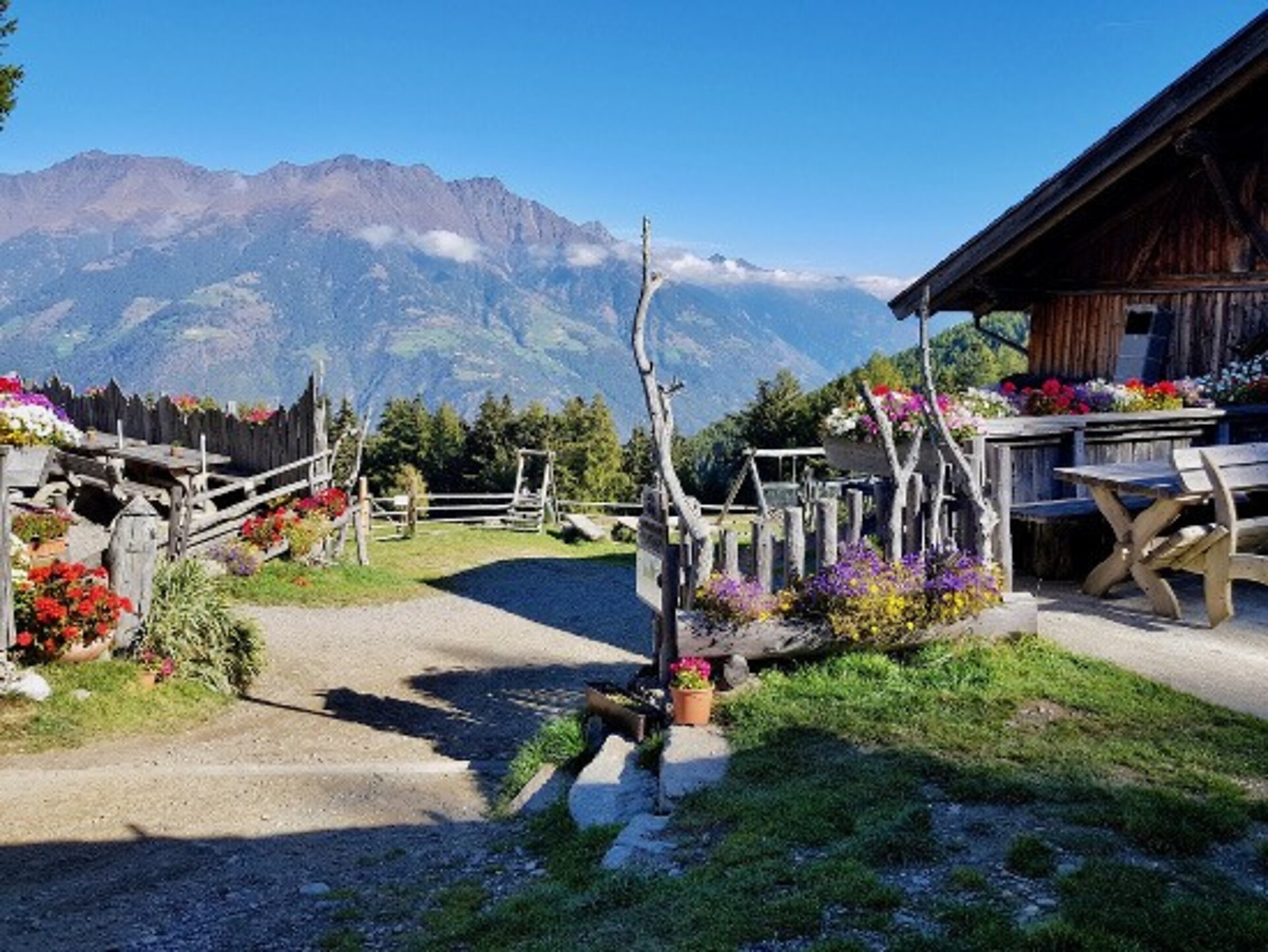 Marzoner Alm - Vinschgau - #4 - suedtirol.info