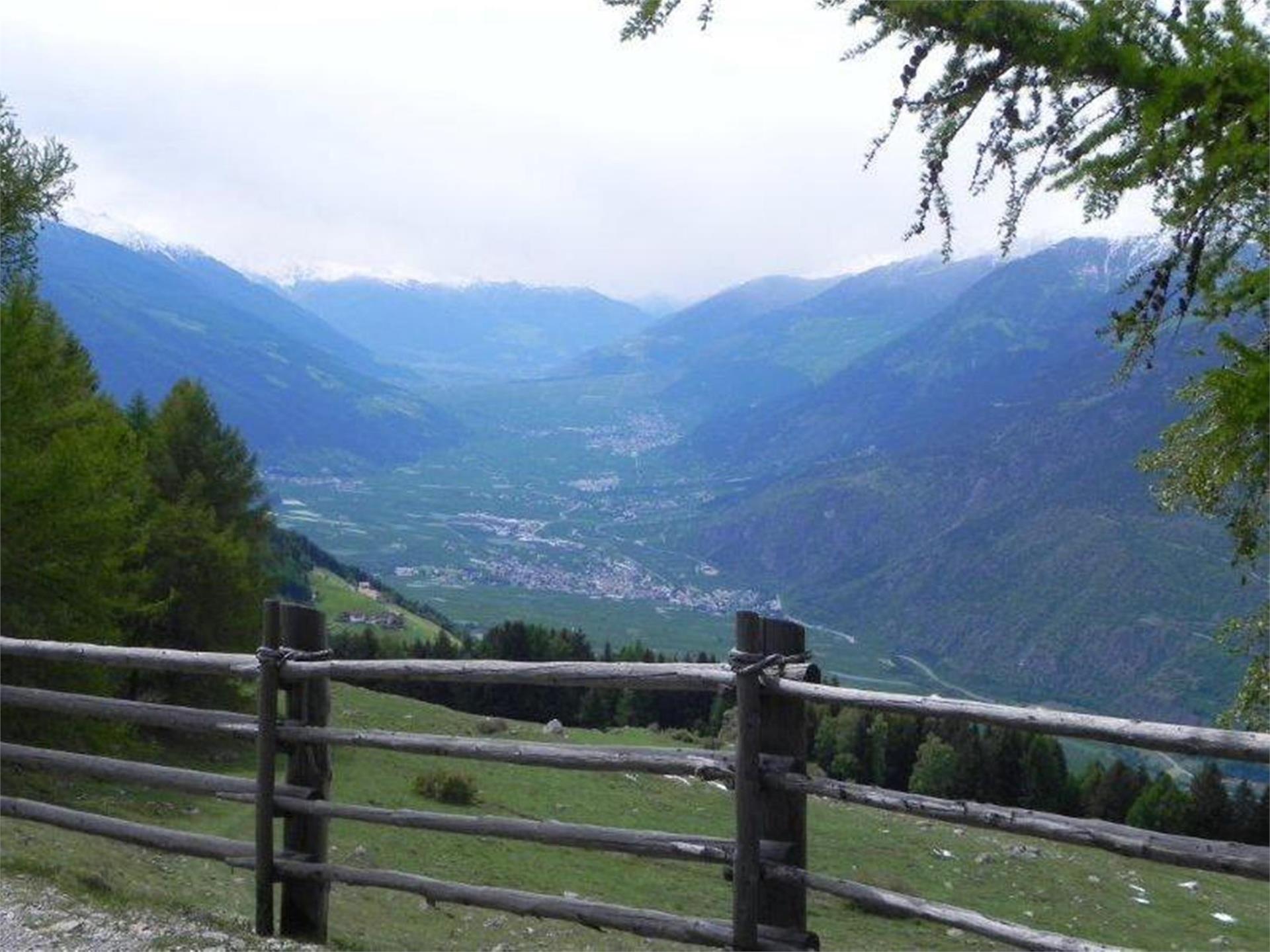 Marzoner Alm Kastelbell-Tschars 4 suedtirol.info