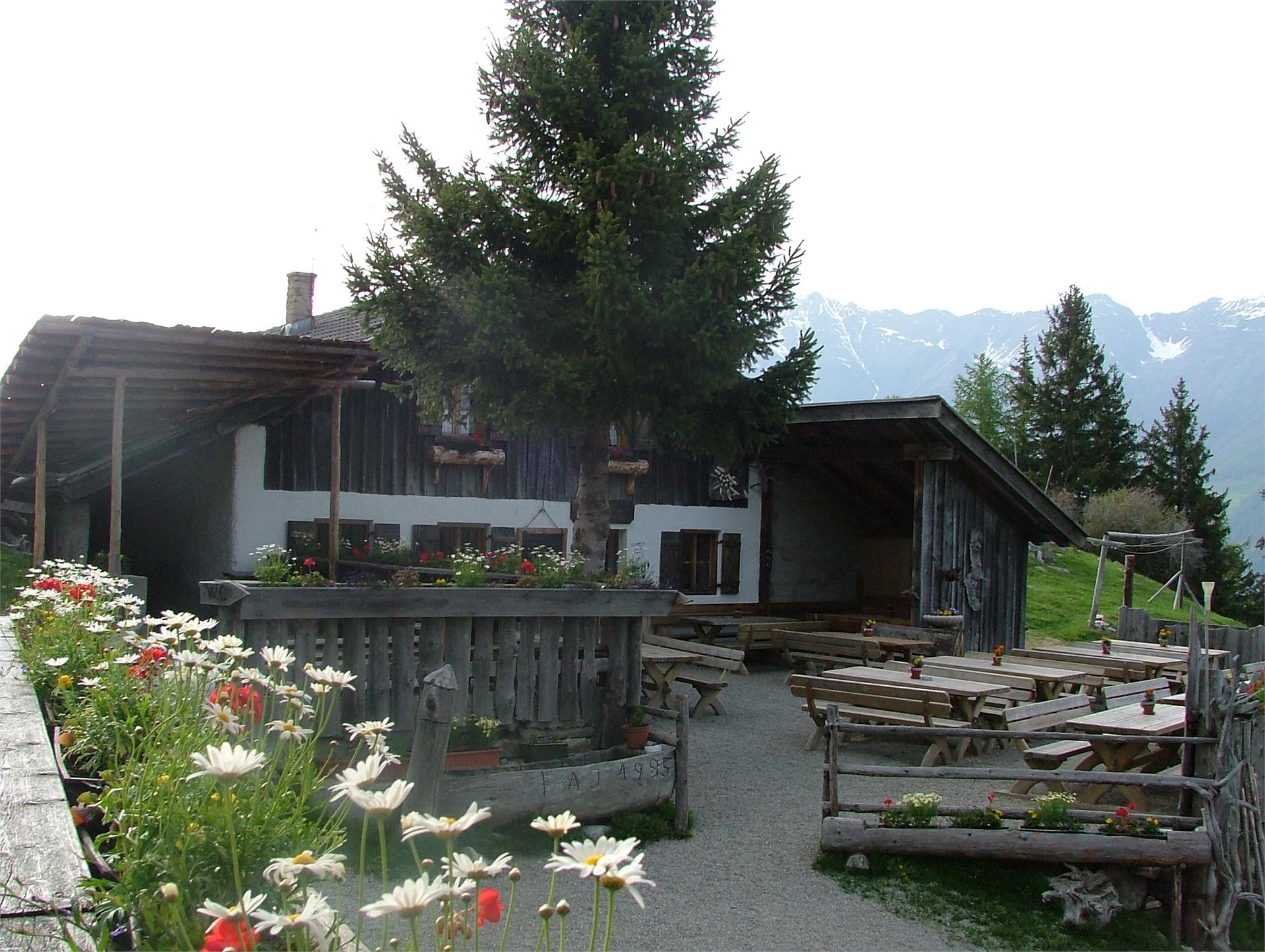 Marzoner Alm Kastelbell-Tschars 1 suedtirol.info