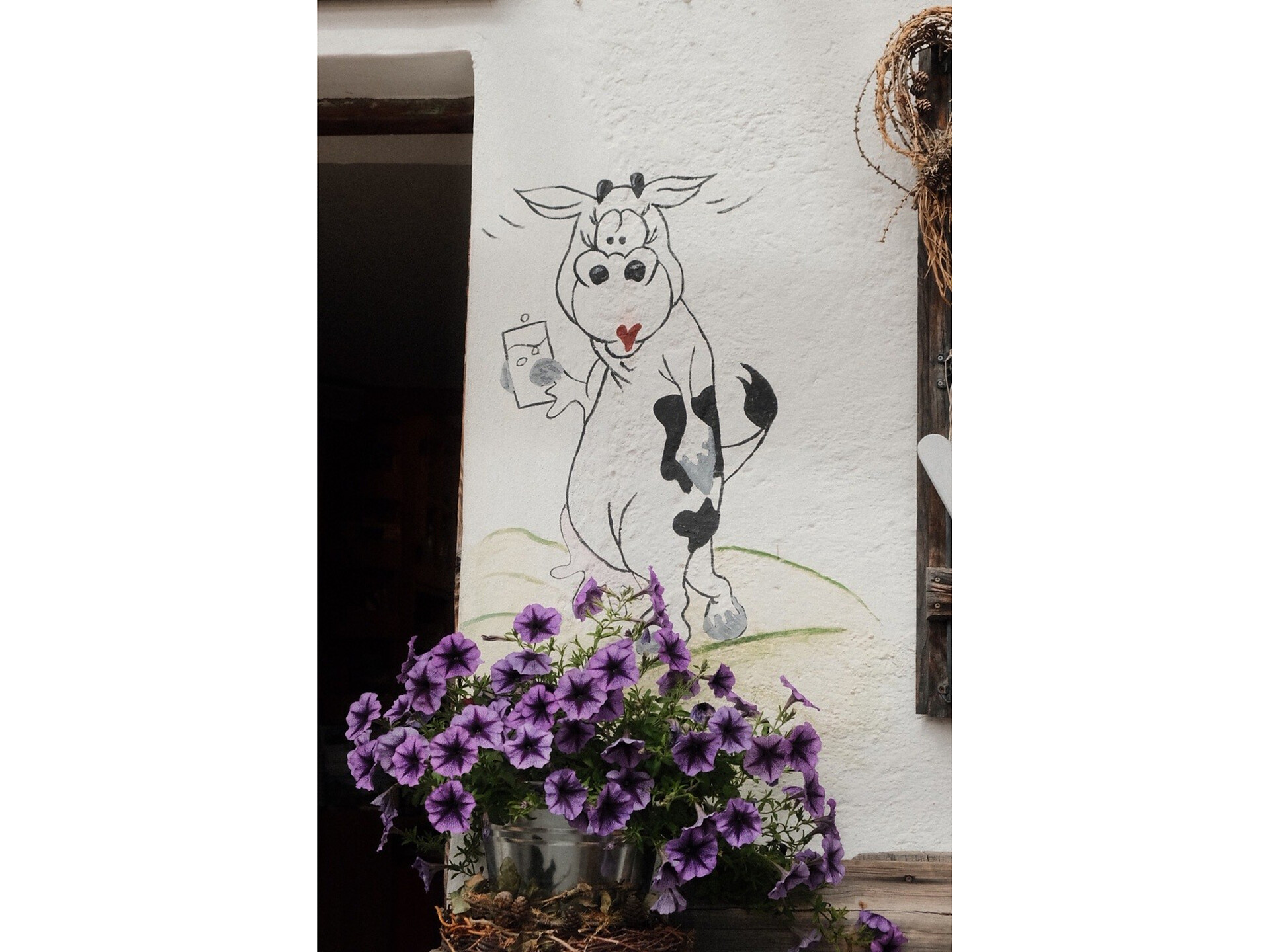 Marzoner Alm - Vinschgau - #7 - suedtirol.info