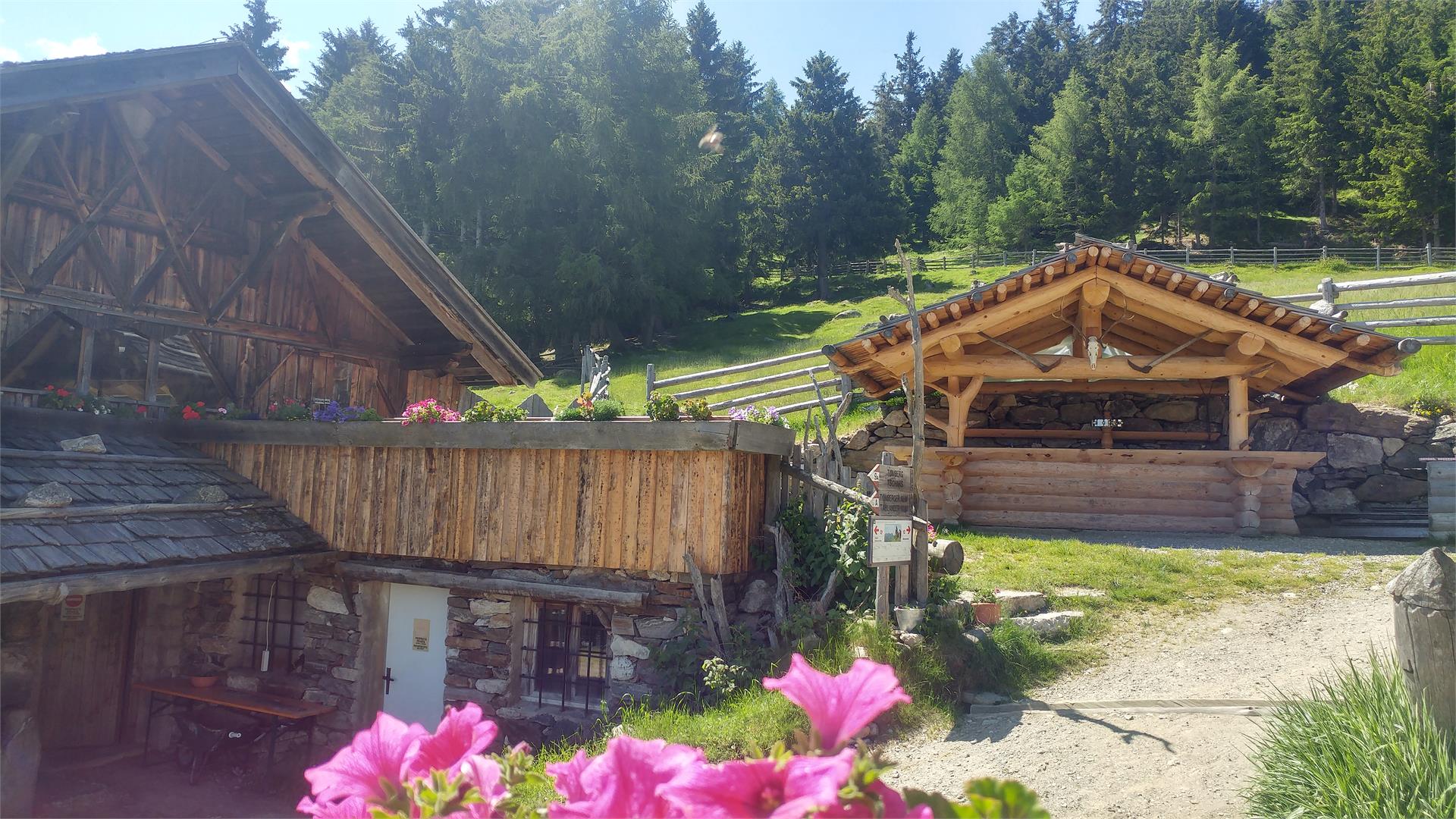 Marzoner Alm Kastelbell-Tschars 14 suedtirol.info