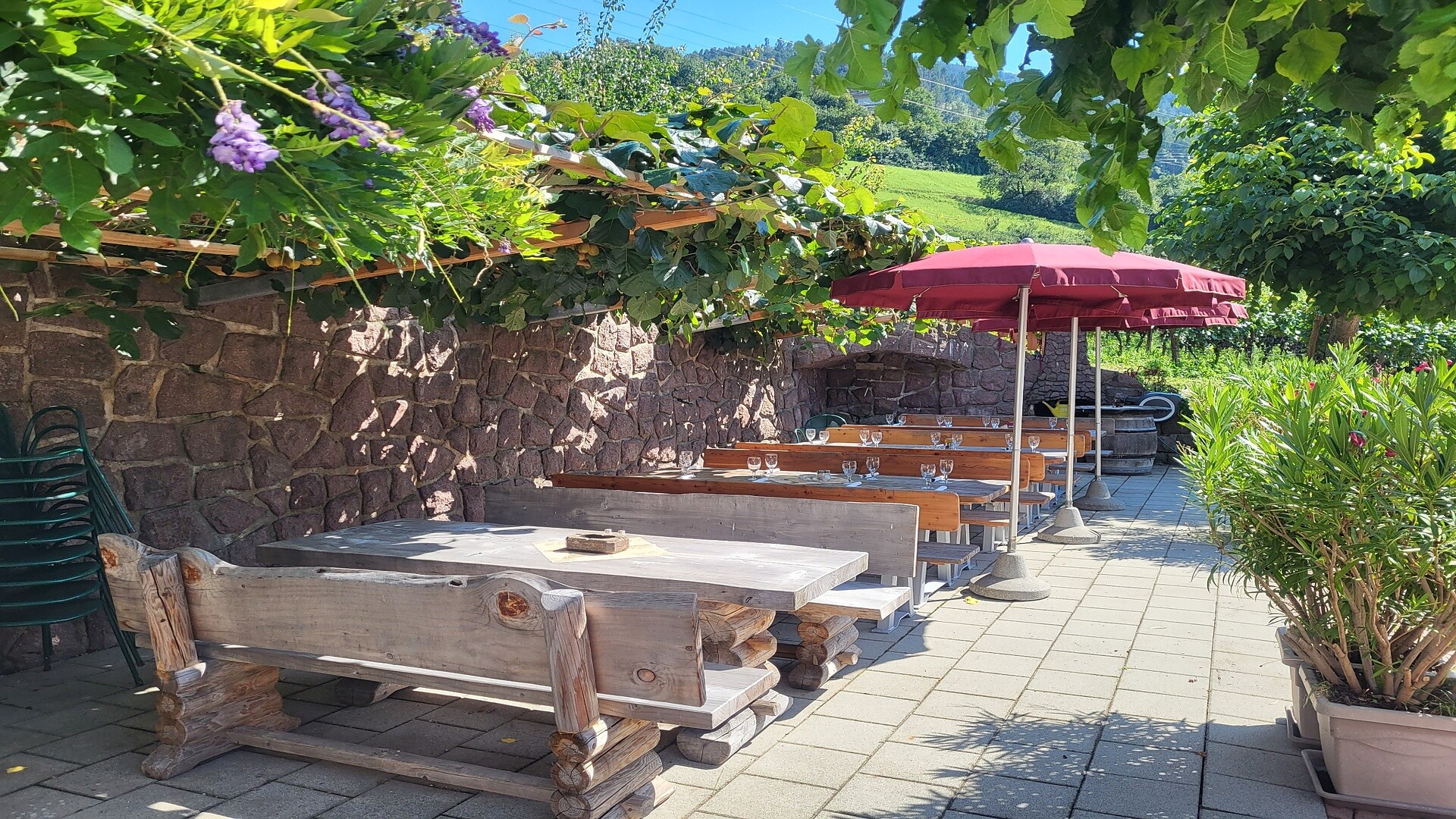 Martscholer Weinhof - Brixen/Bressanone and environs - #3 - suedtirol.info