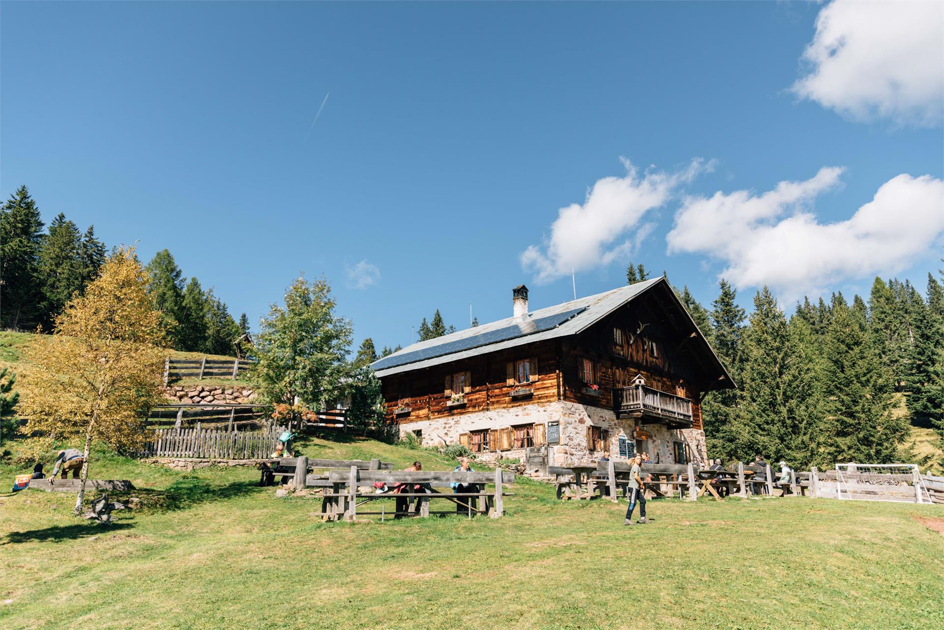 Maiser Alm Alp inn Hafling/Avelengo 1 suedtirol.info
