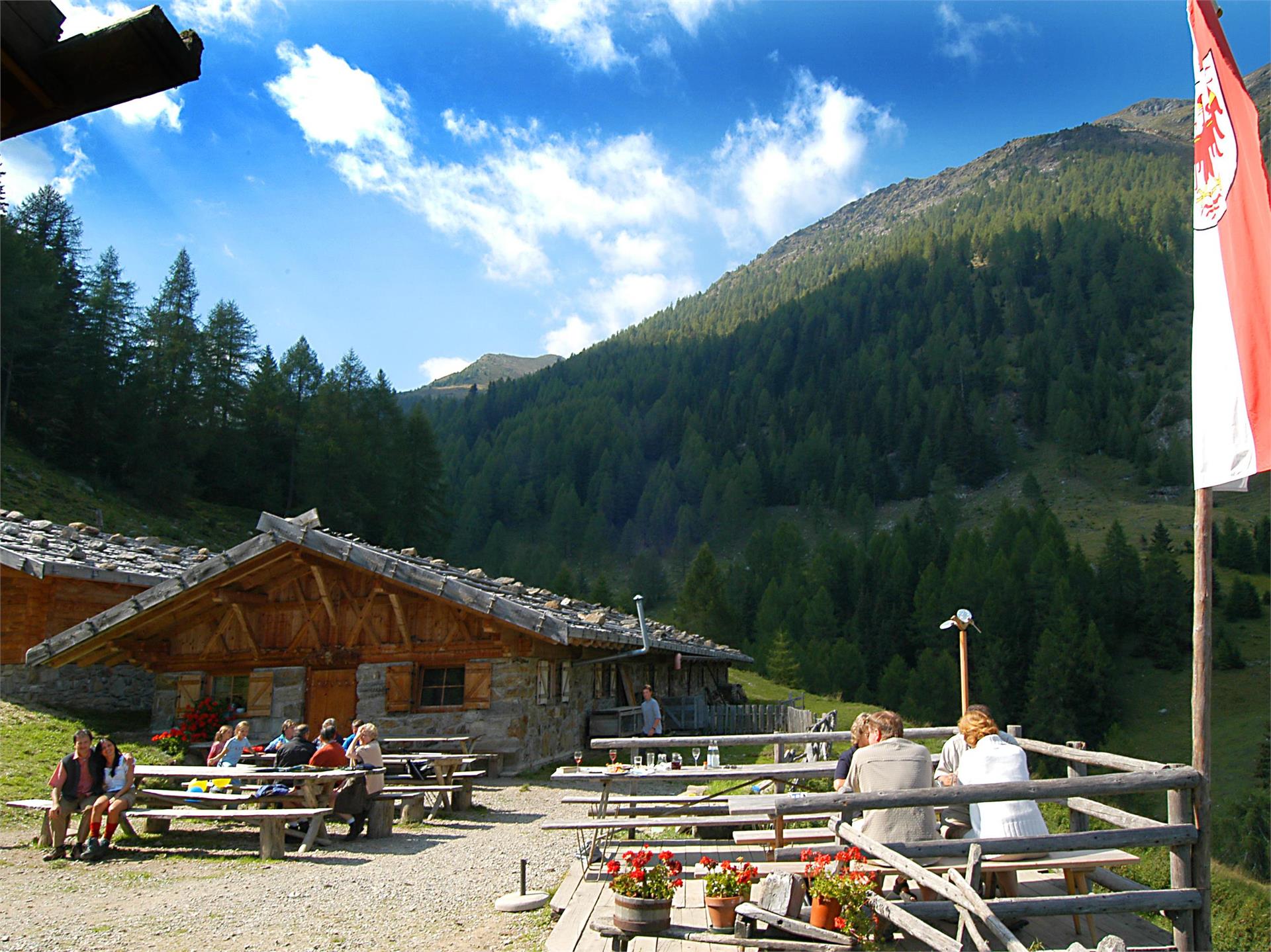 Mariolberger Alm St.Pankraz/San Pancrazio 1 suedtirol.info